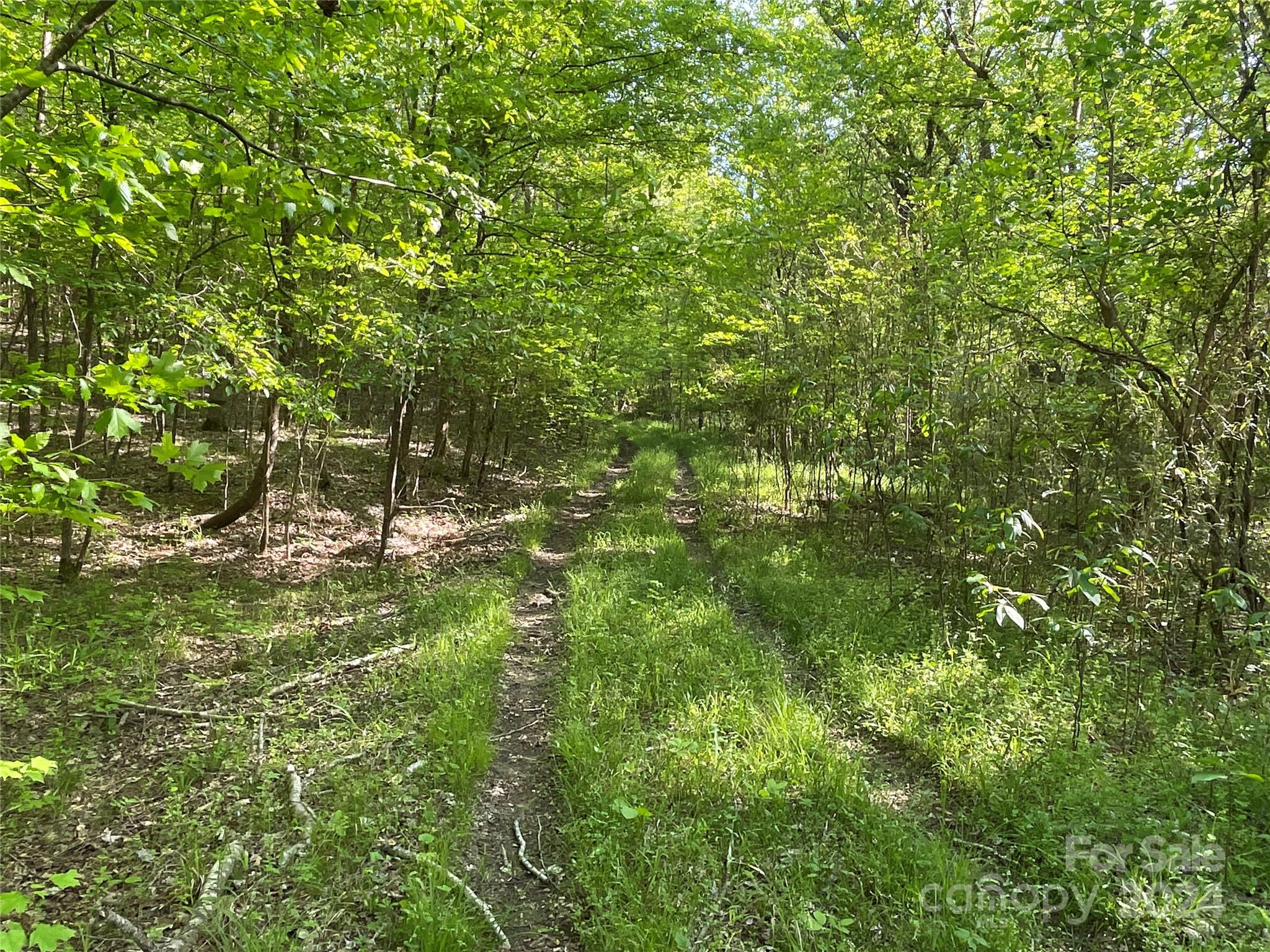 property viewer photo 8