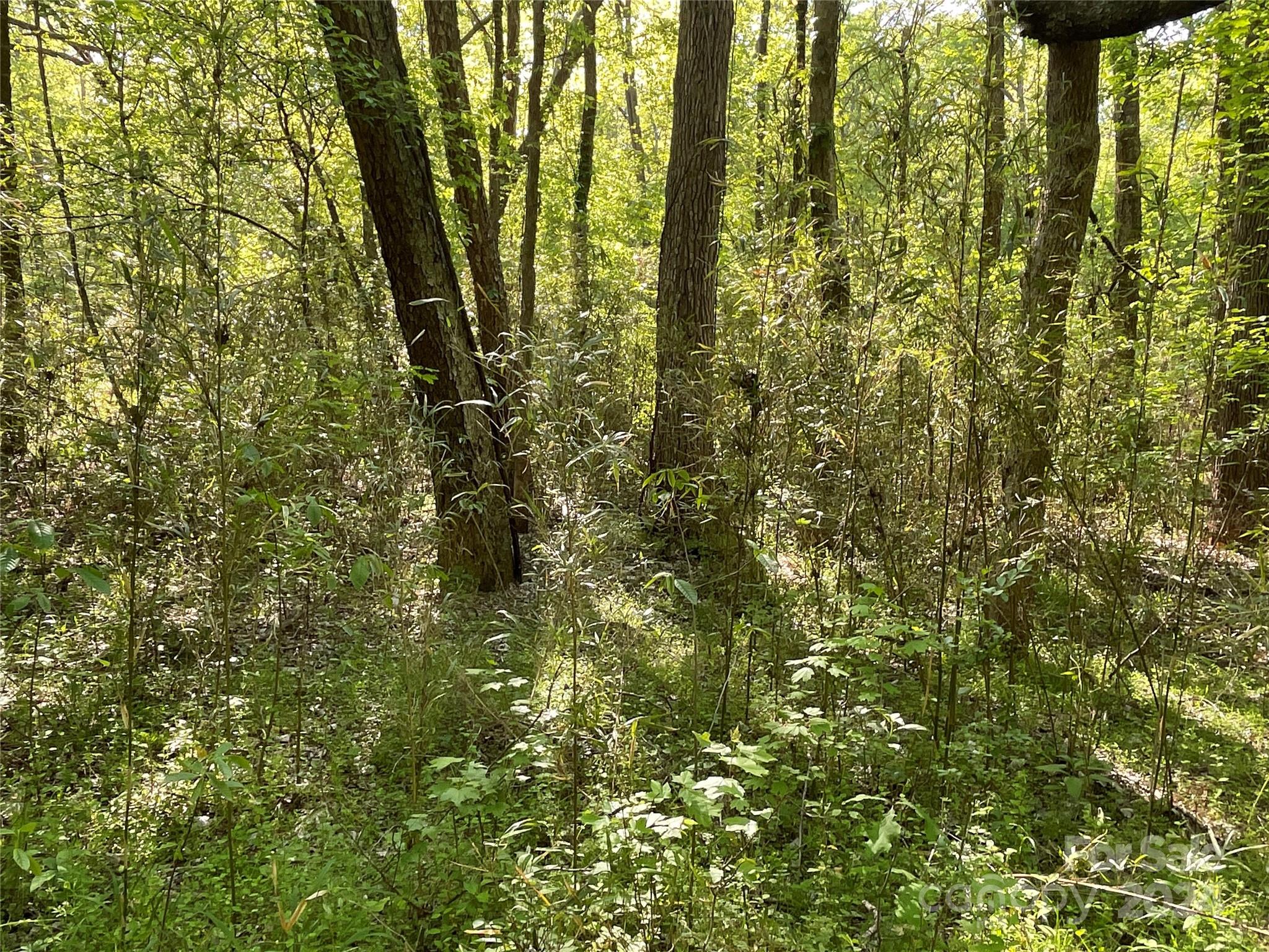 property viewer photo 9