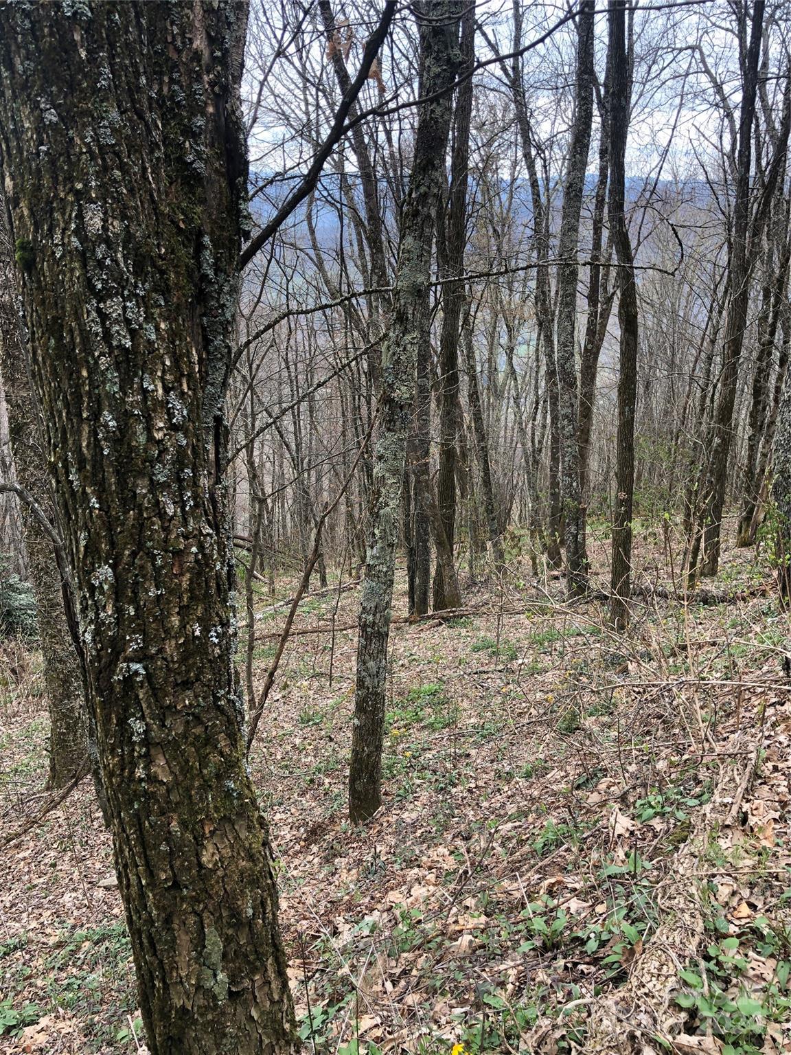 main property photo 10