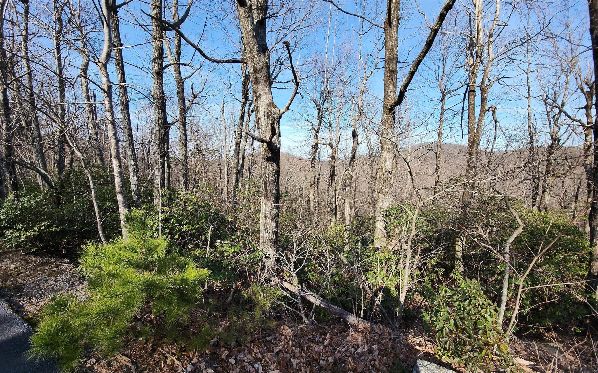 main property photo 10