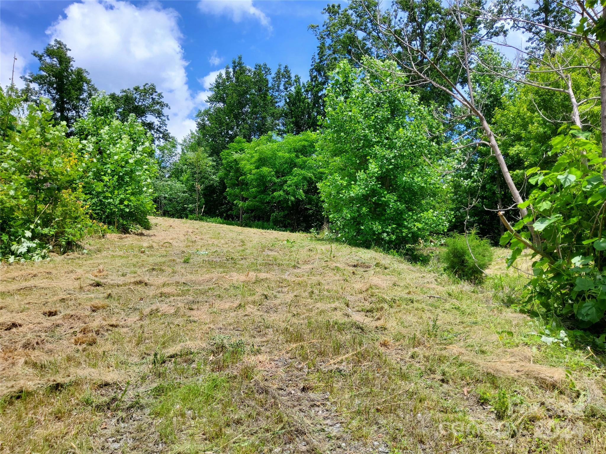 main property photo 13