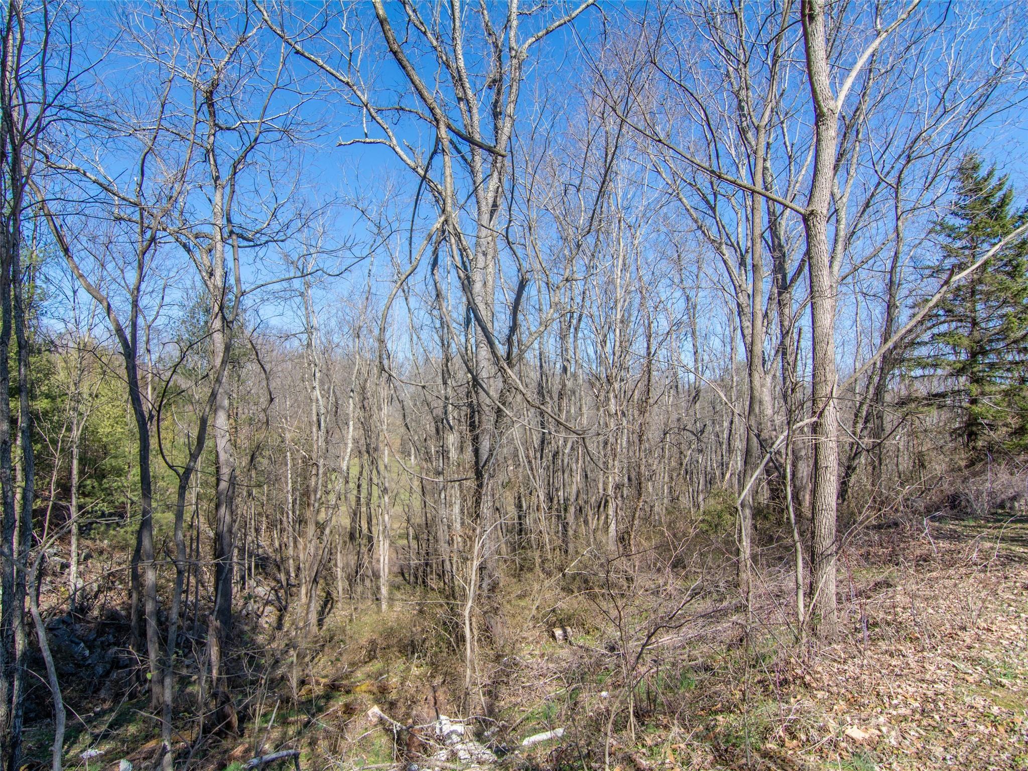 main property photo 18
