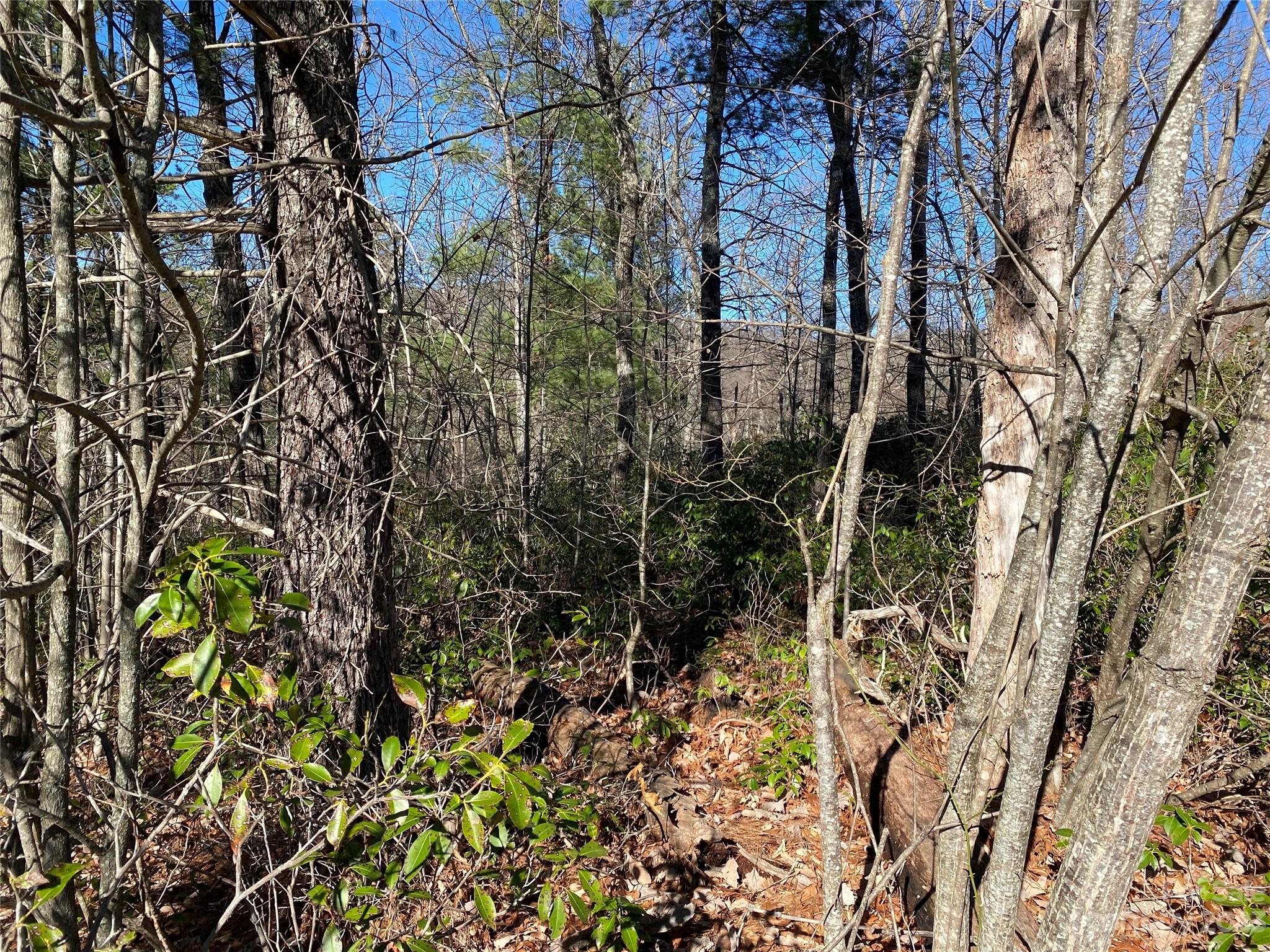 main property photo 8