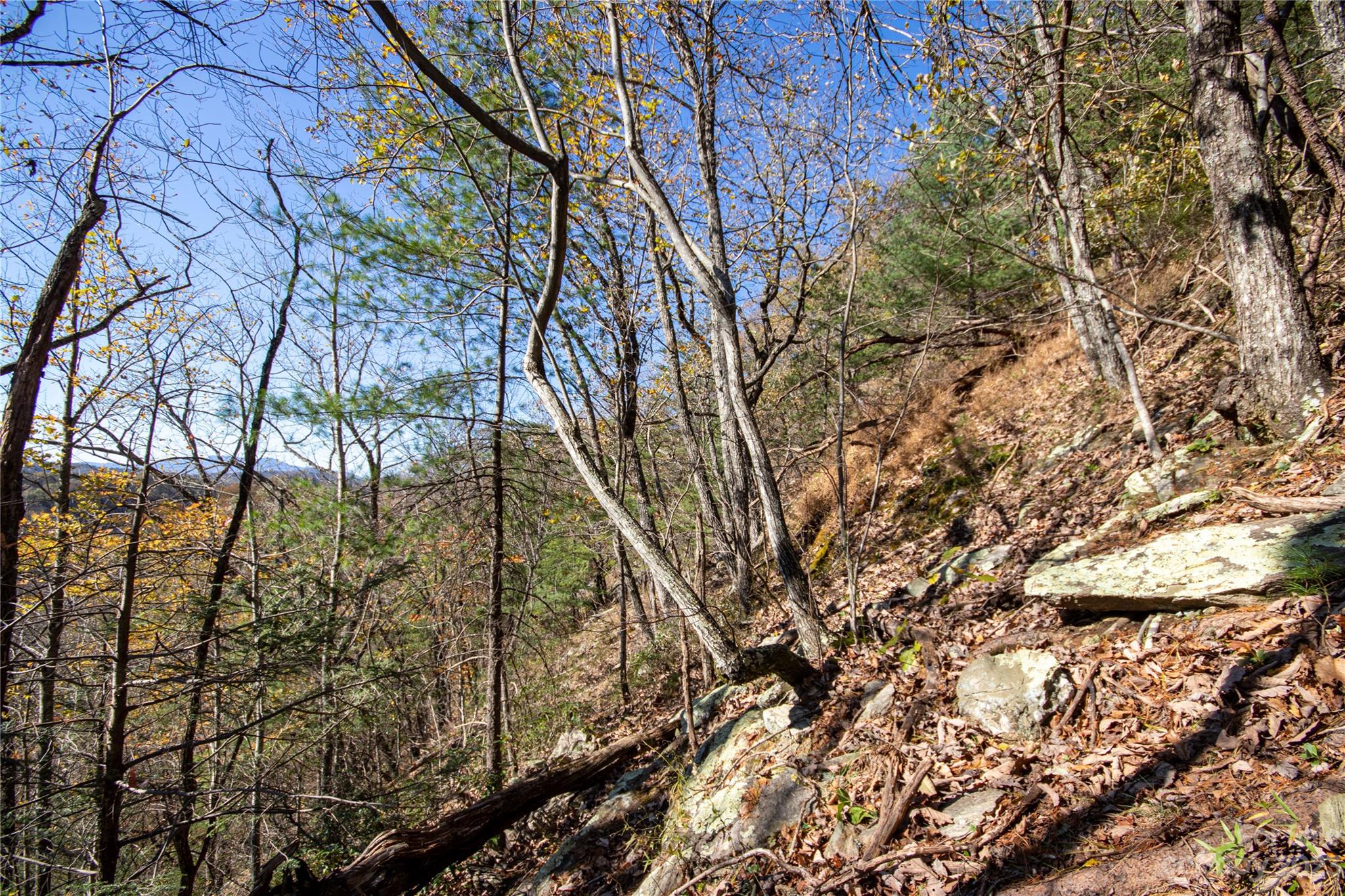 main property photo 21