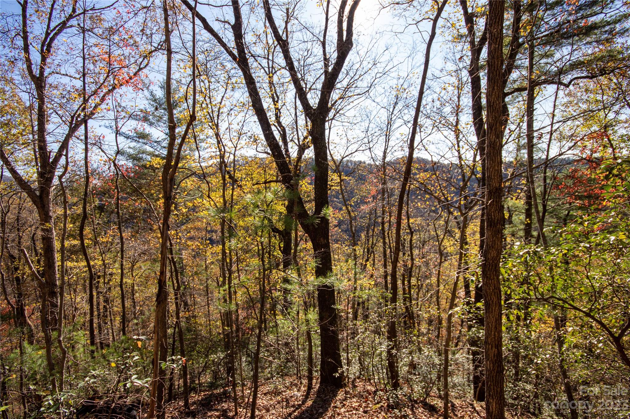 main property photo 24
