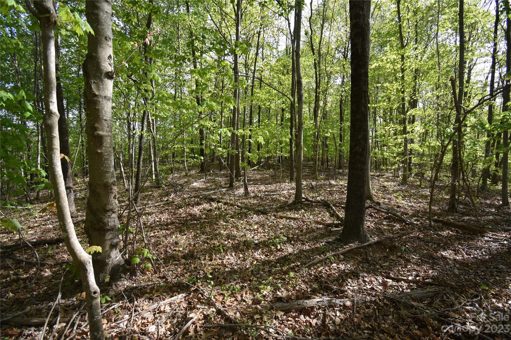 main property photo 36