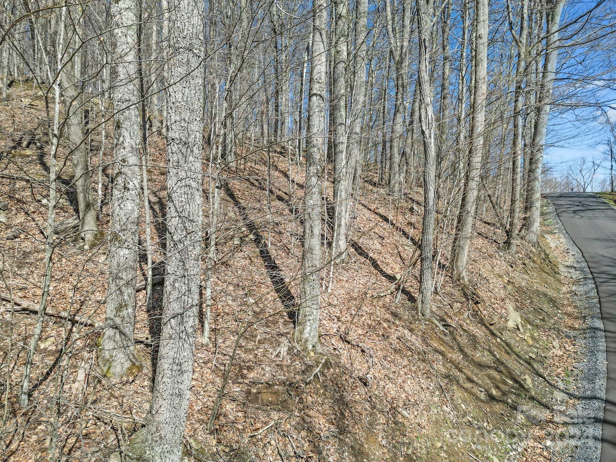main property photo 11