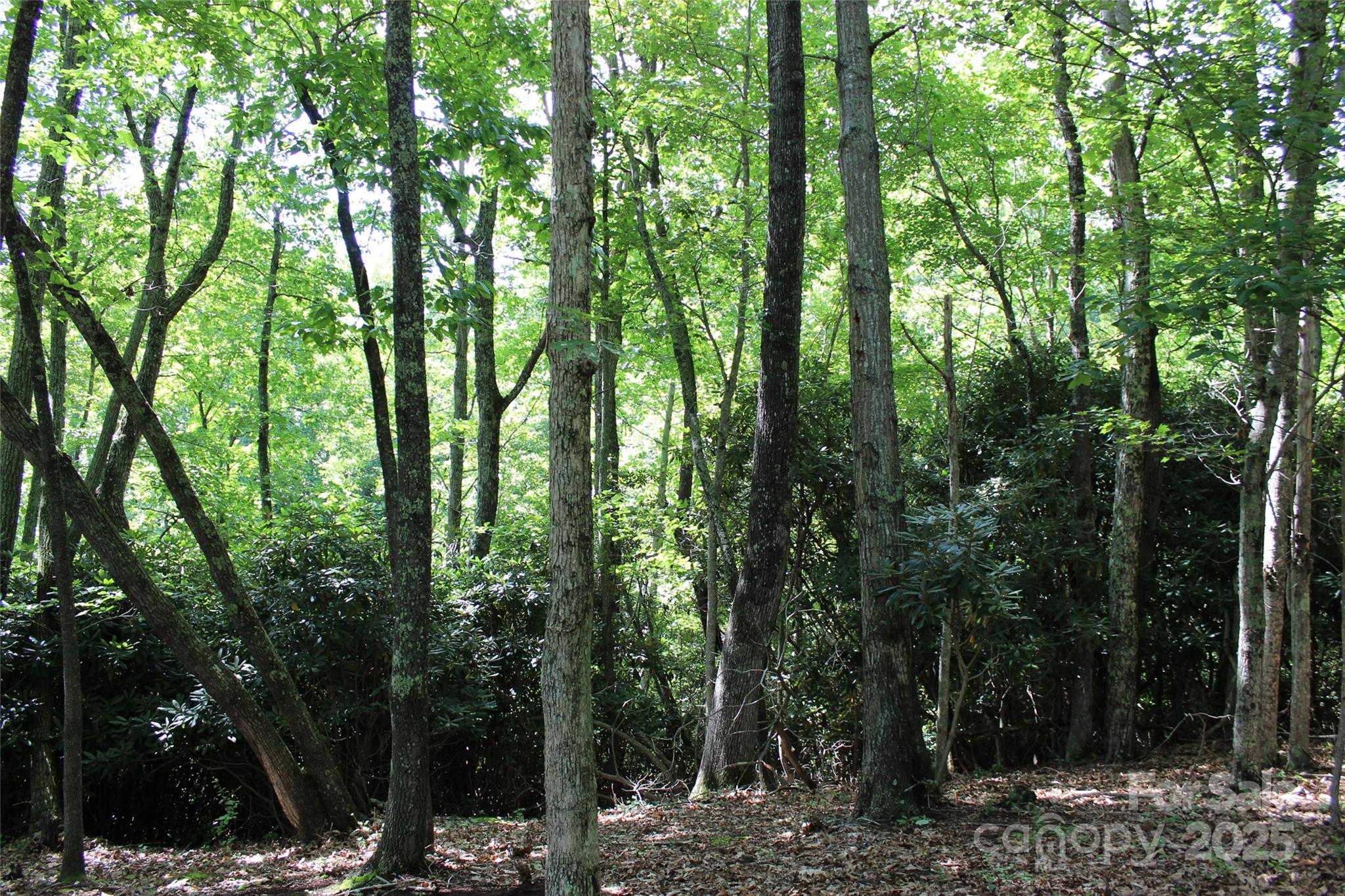 main property photo 20