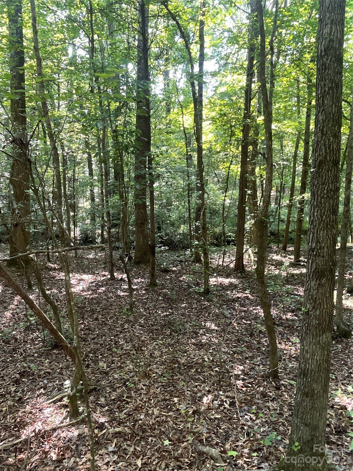 main property photo 34