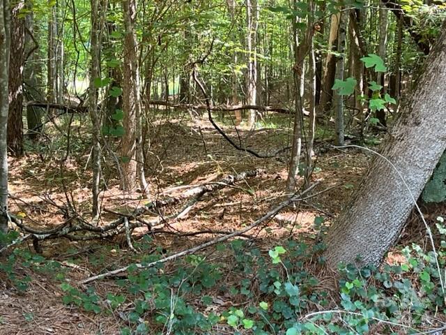 main property photo 11