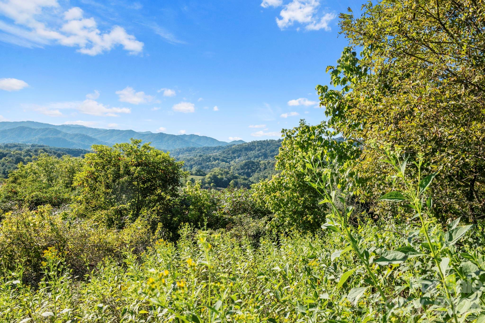 main property photo 24