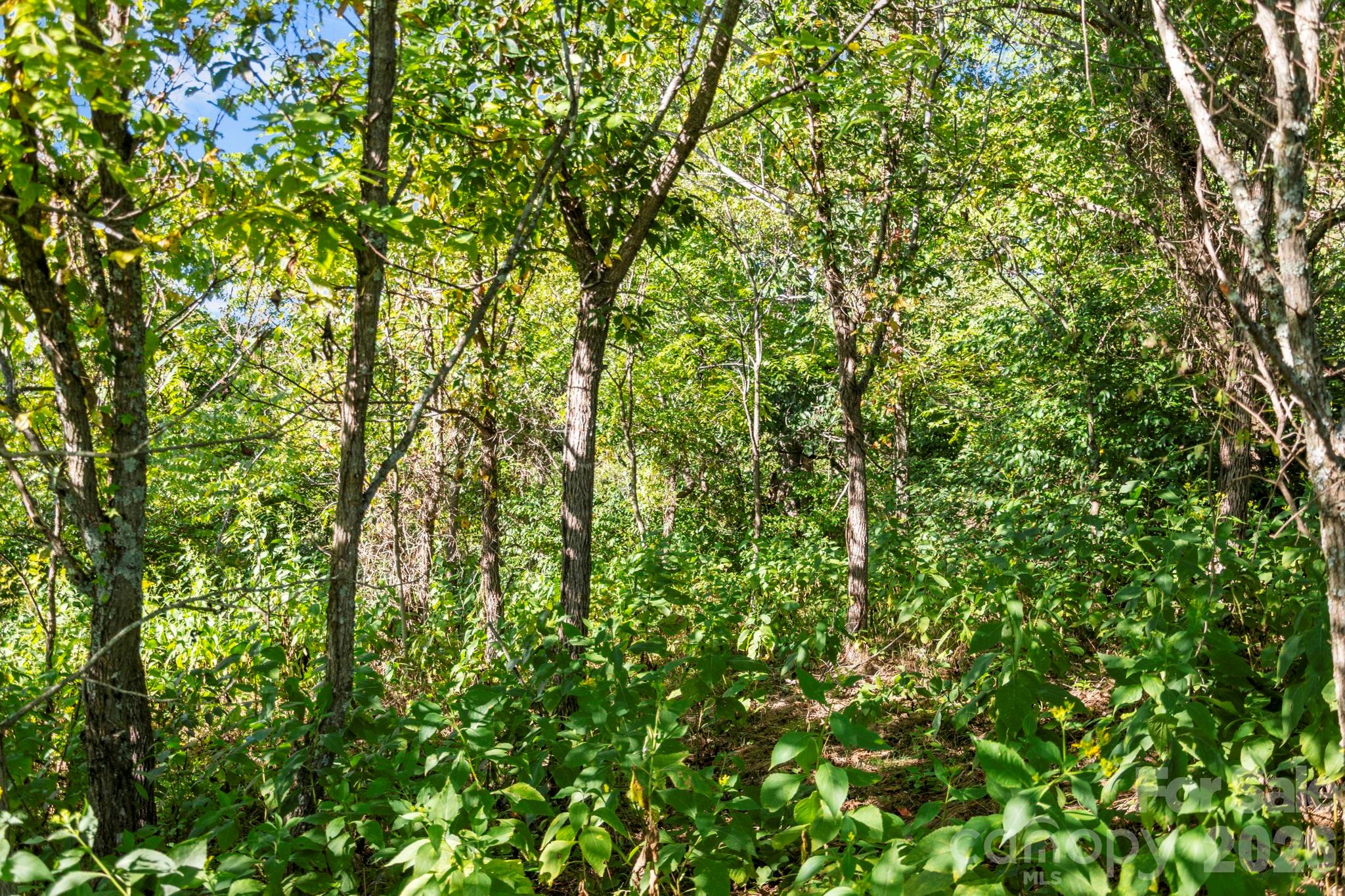 main property photo 29