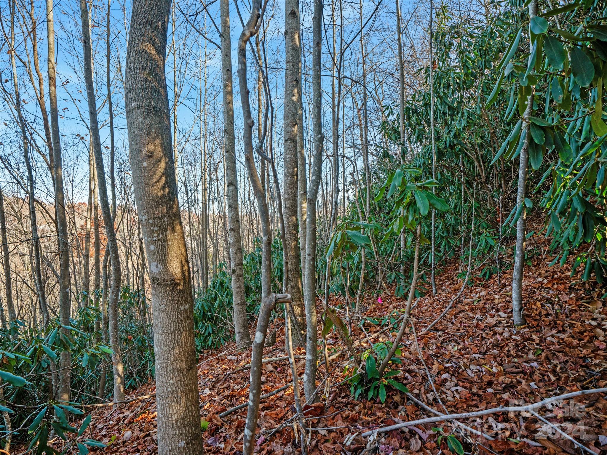 main property photo 16
