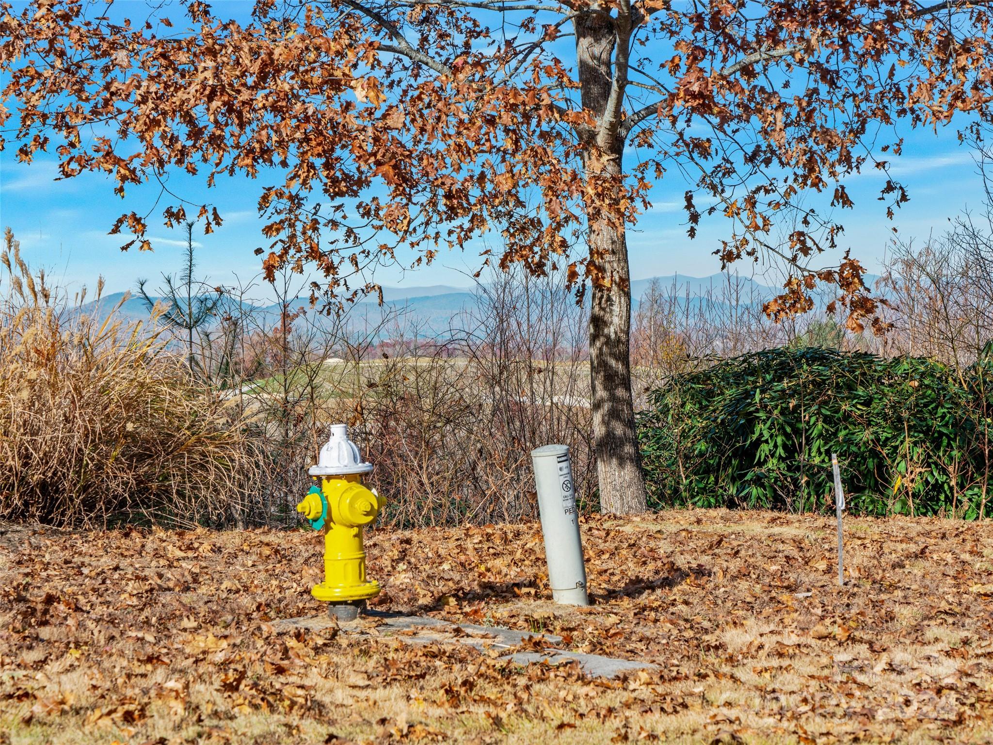 main property photo 31
