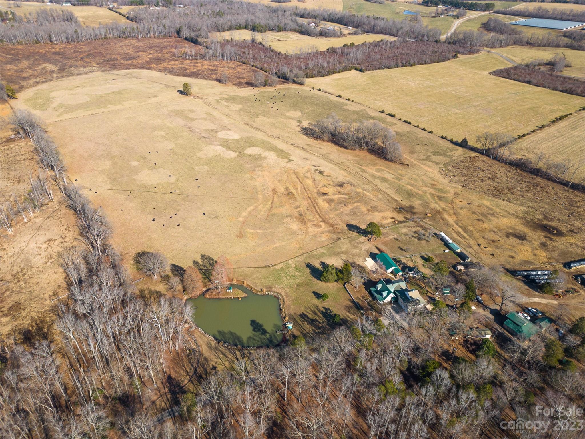 main property photo 41