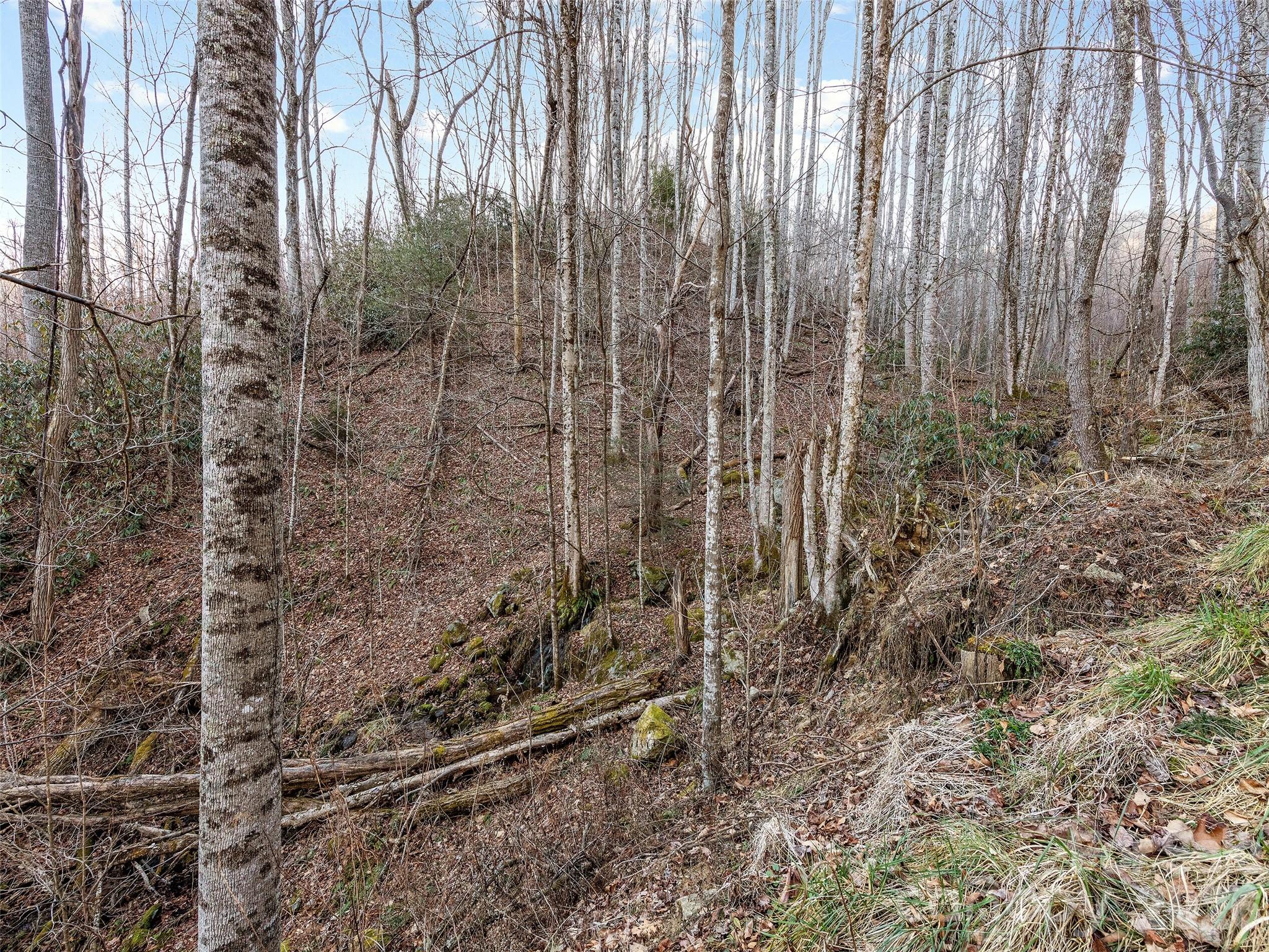 main property photo 24