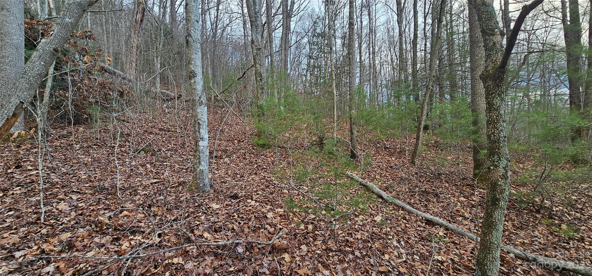 main property photo 10