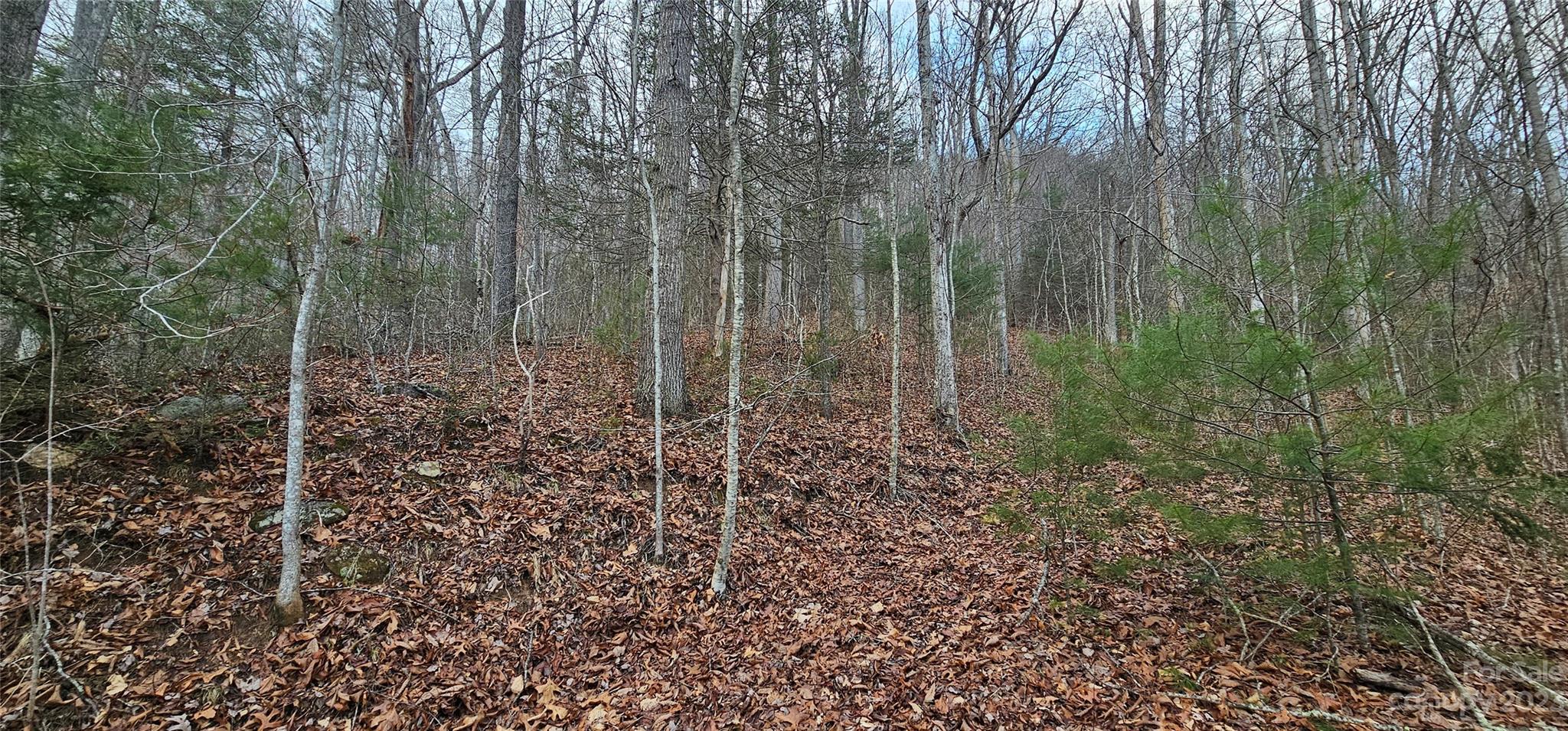main property photo 13