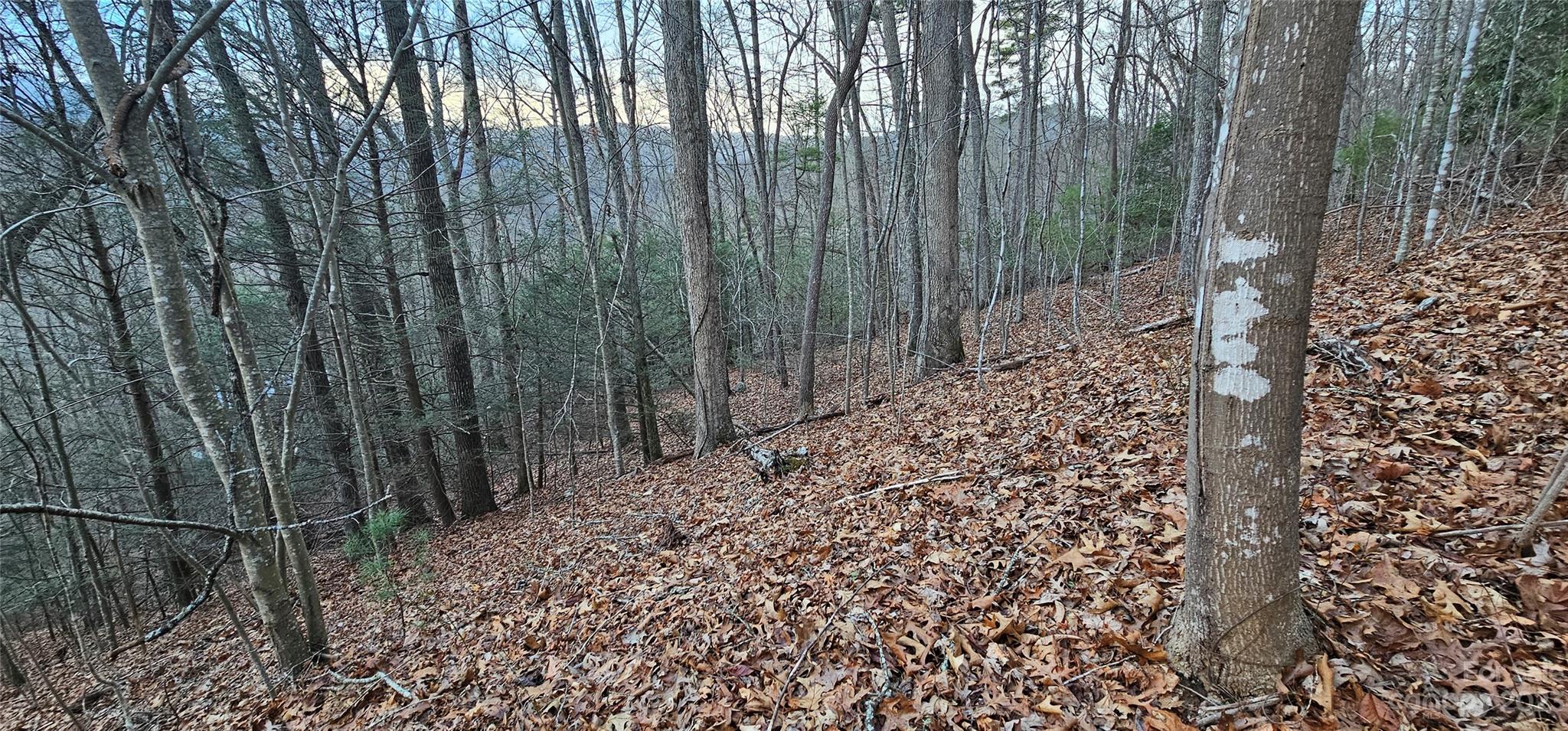 main property photo 18