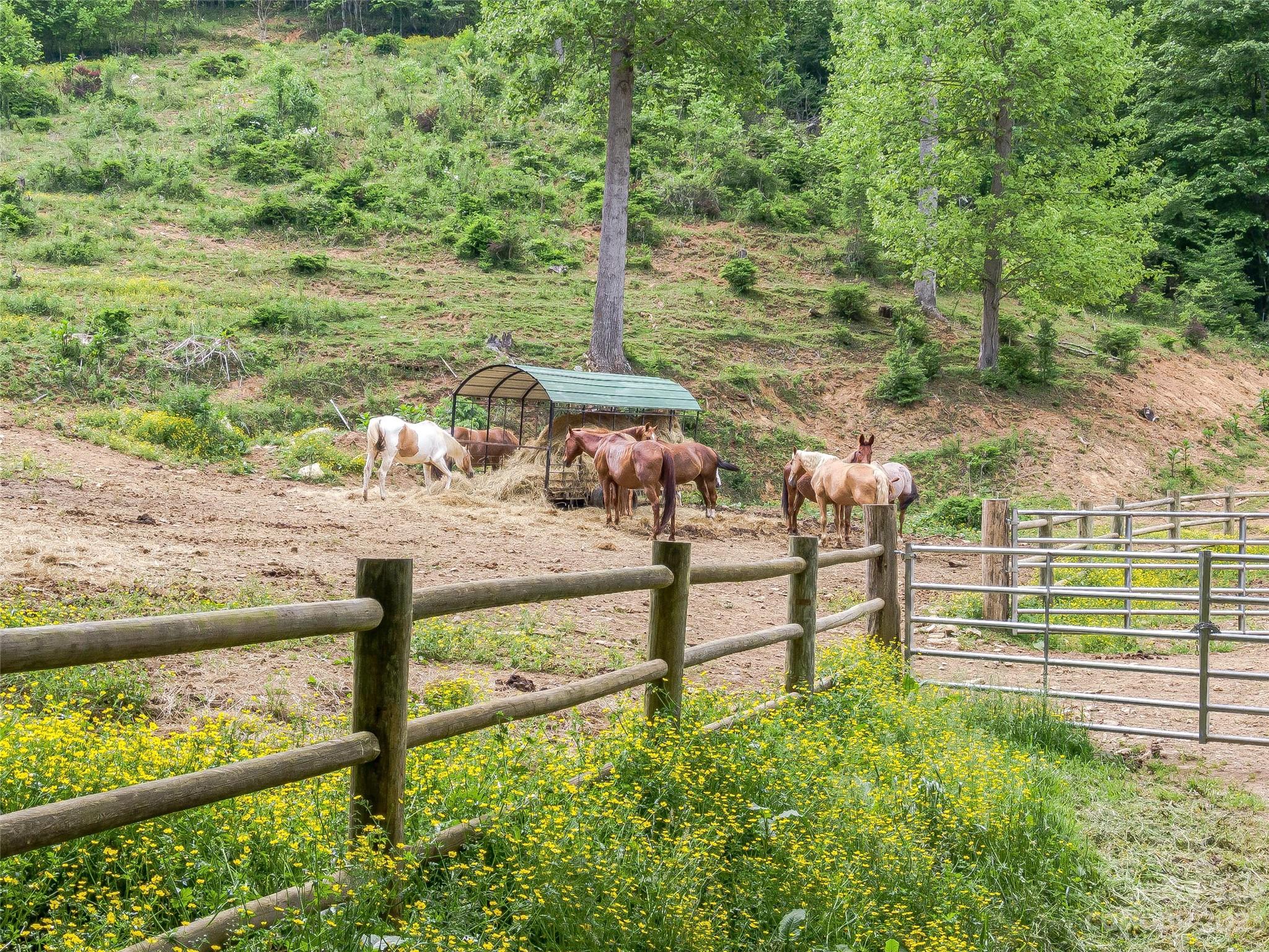 main property photo 11