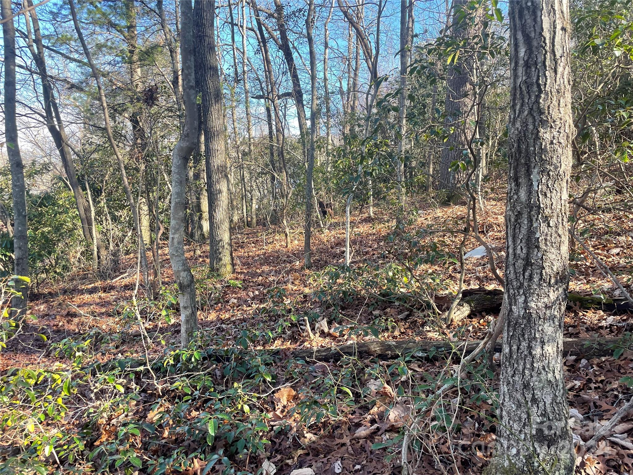 main property photo 11