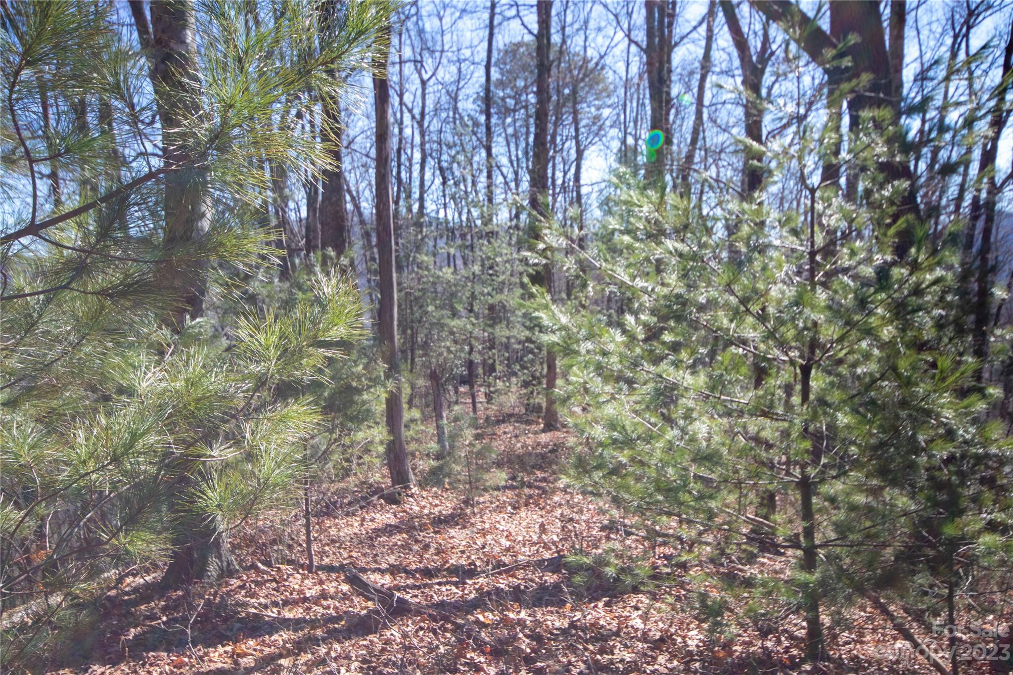 main property photo 25