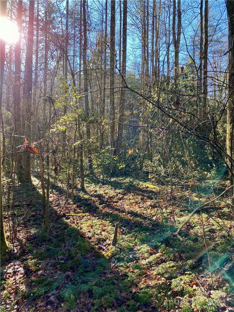 main property photo 10