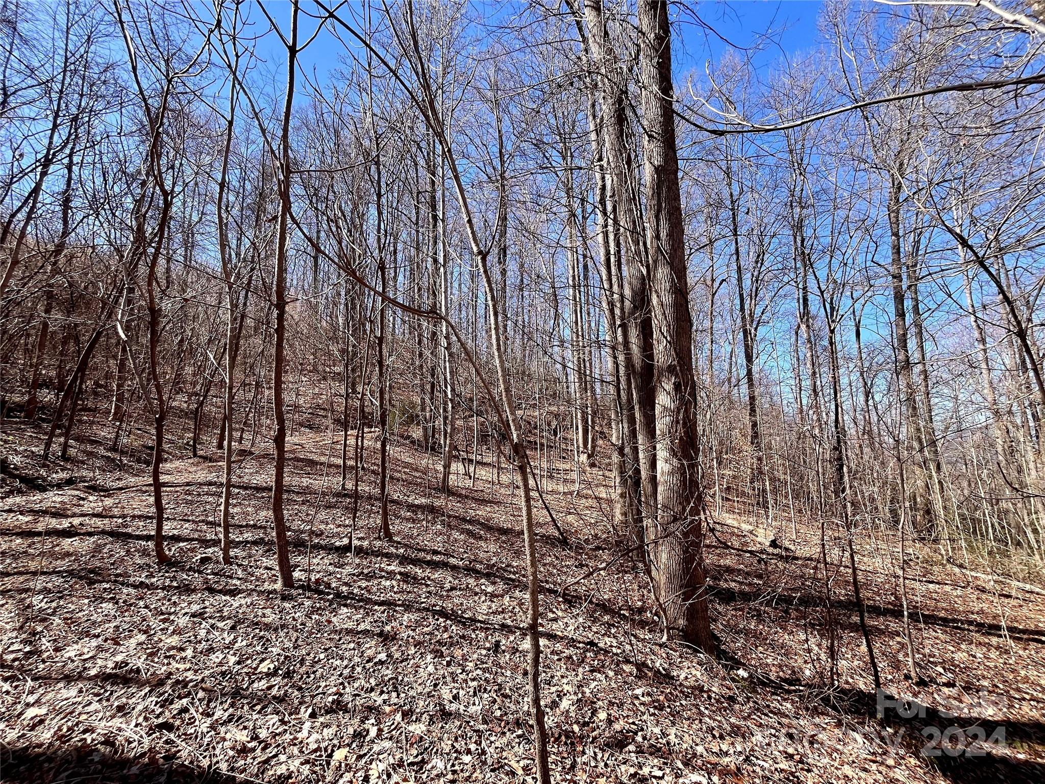 main property photo 38