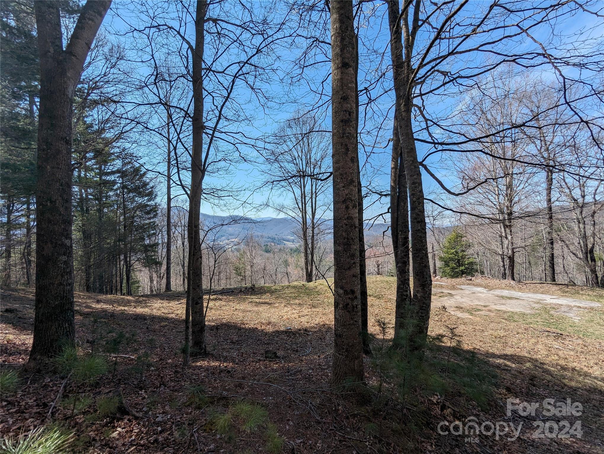 main property photo 37
