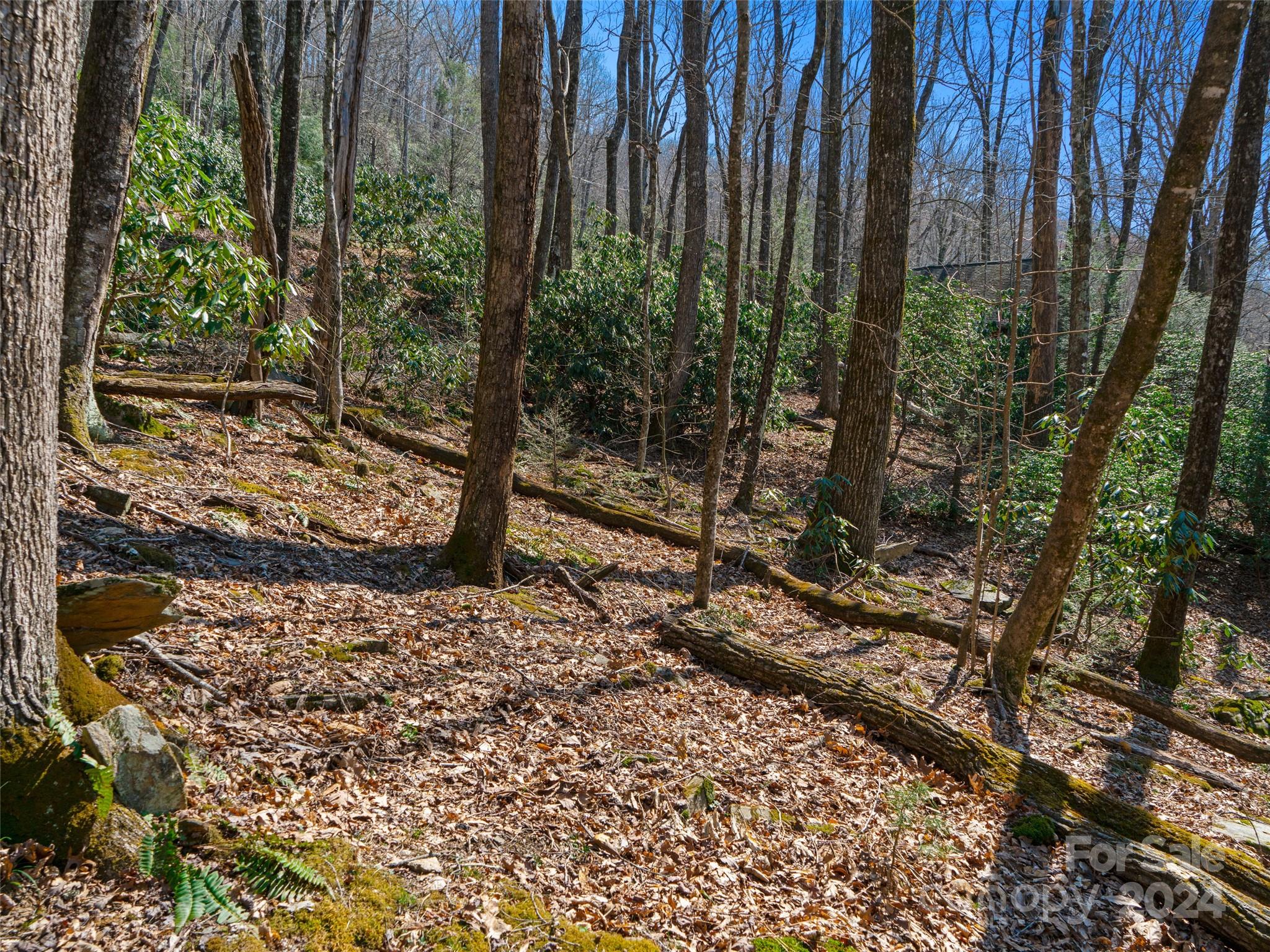 main property photo 7