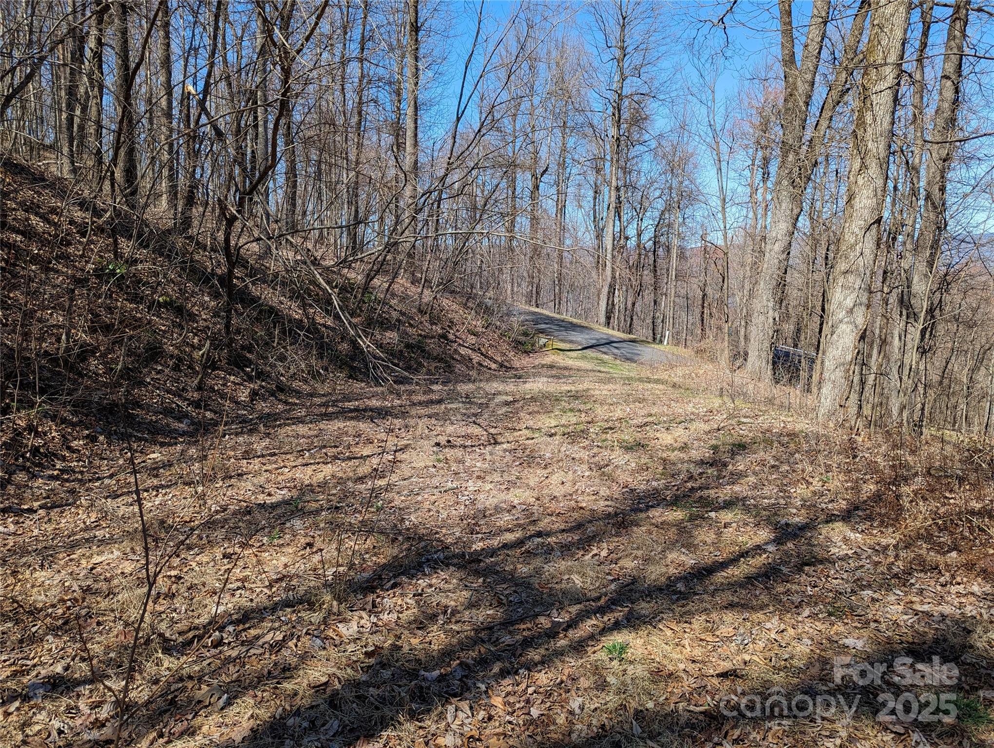 main property photo 14