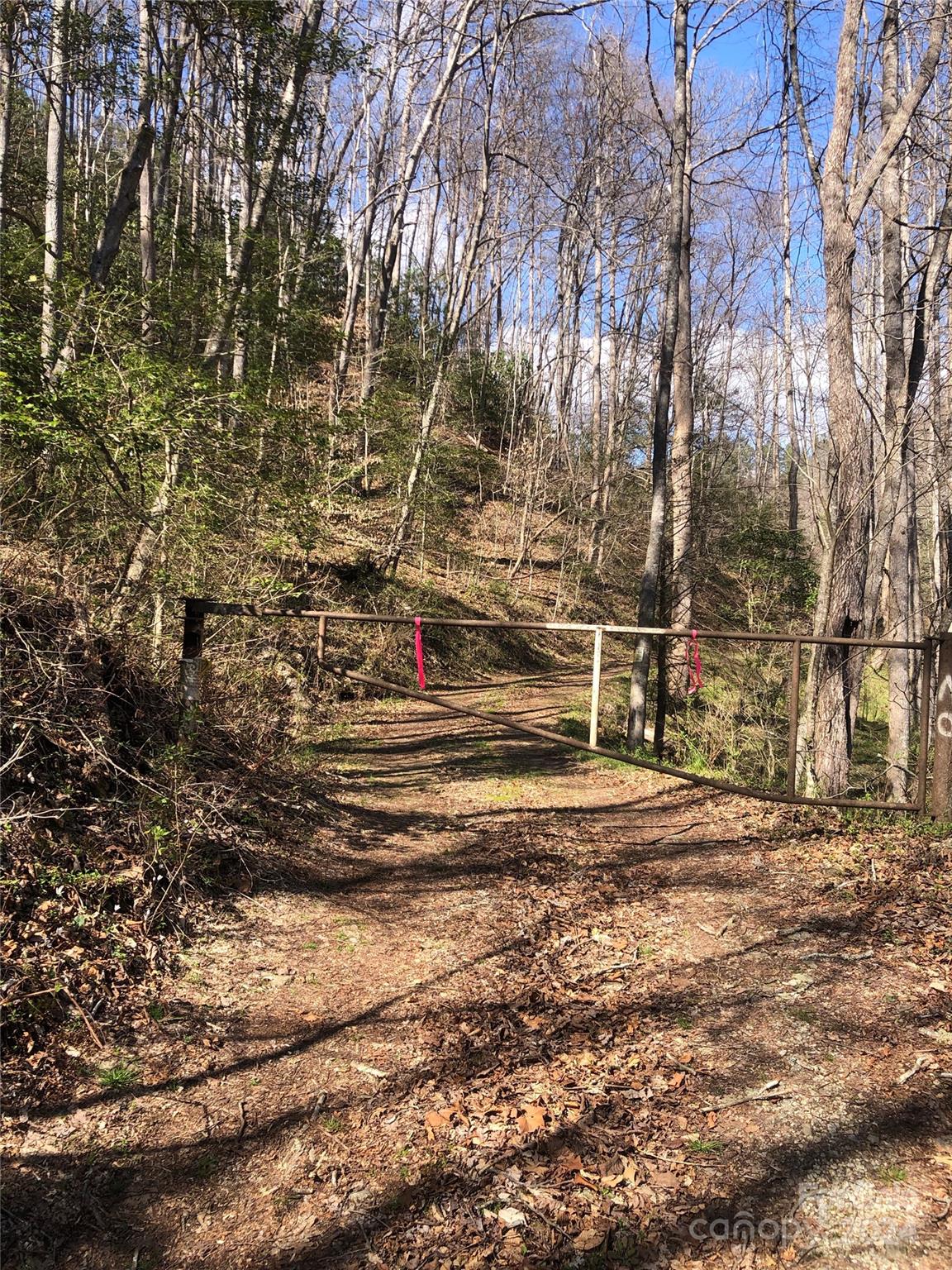 main property photo 14