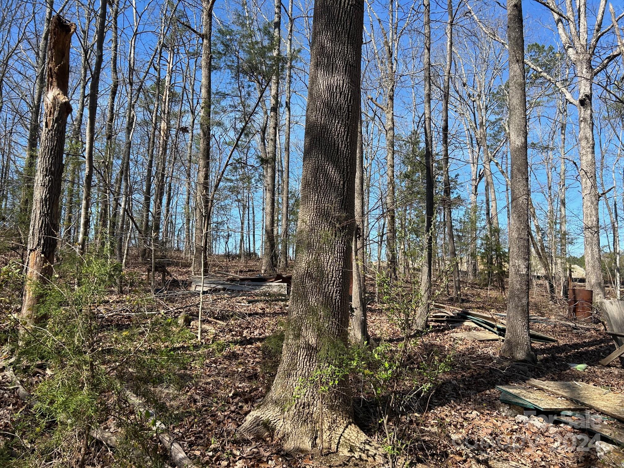 main property photo 43