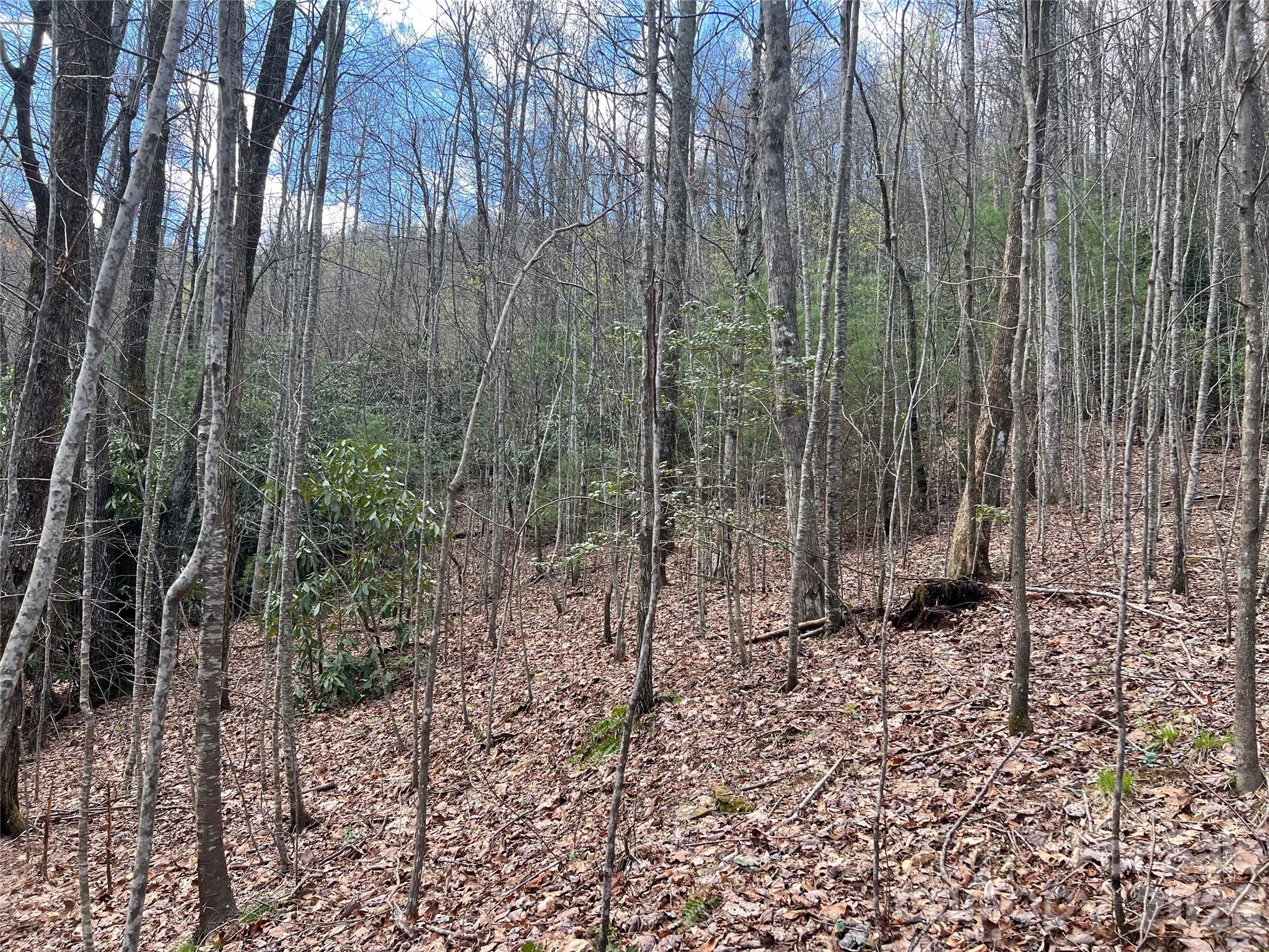 main property photo 11