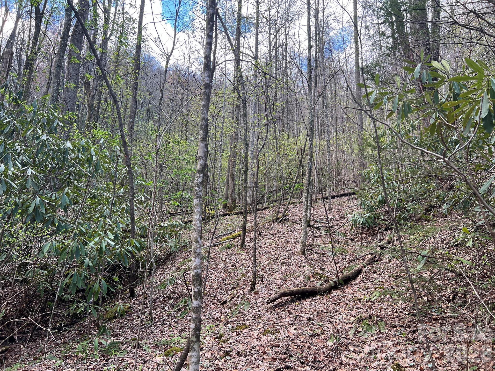 main property photo 18