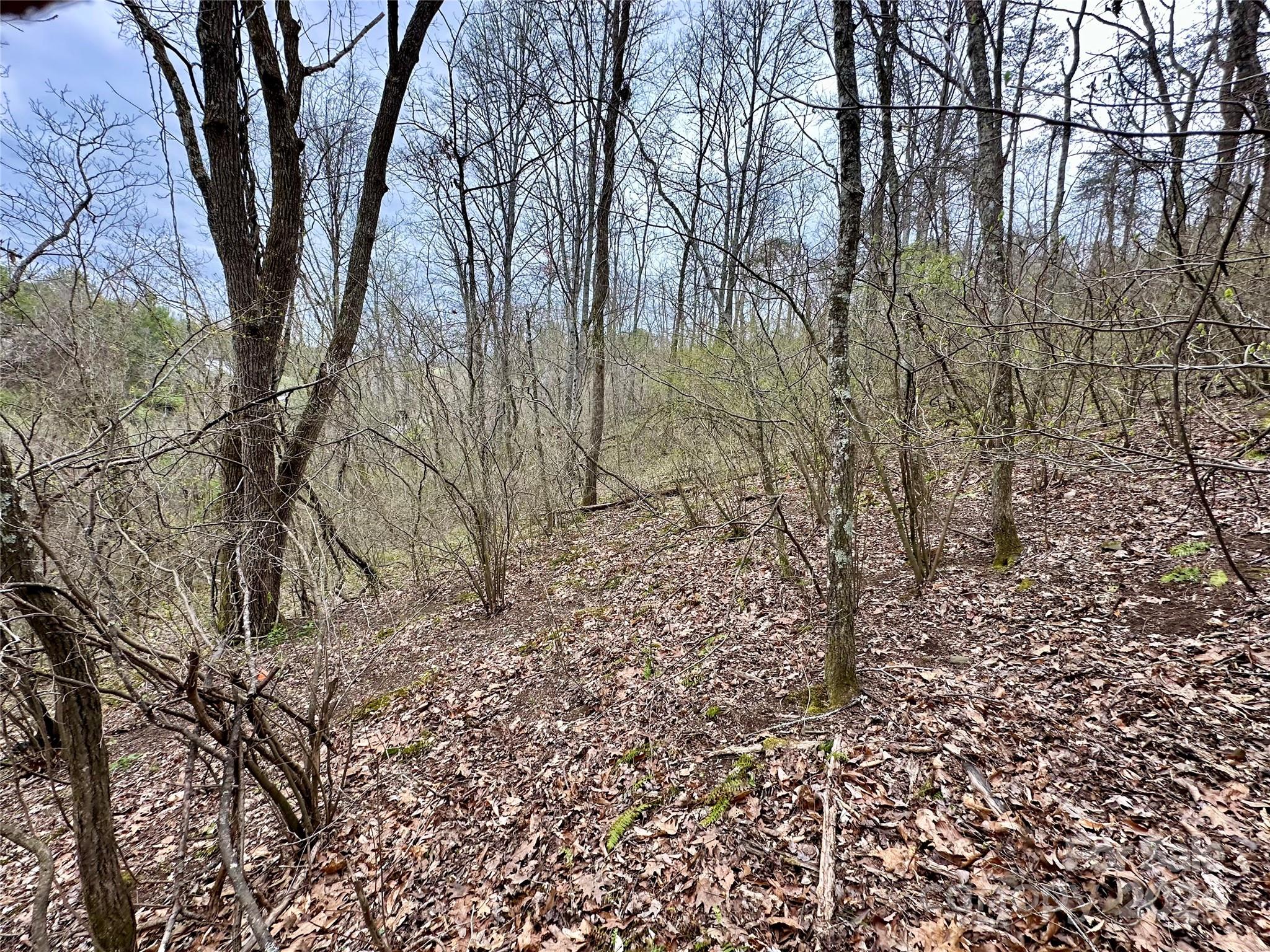 main property photo 25