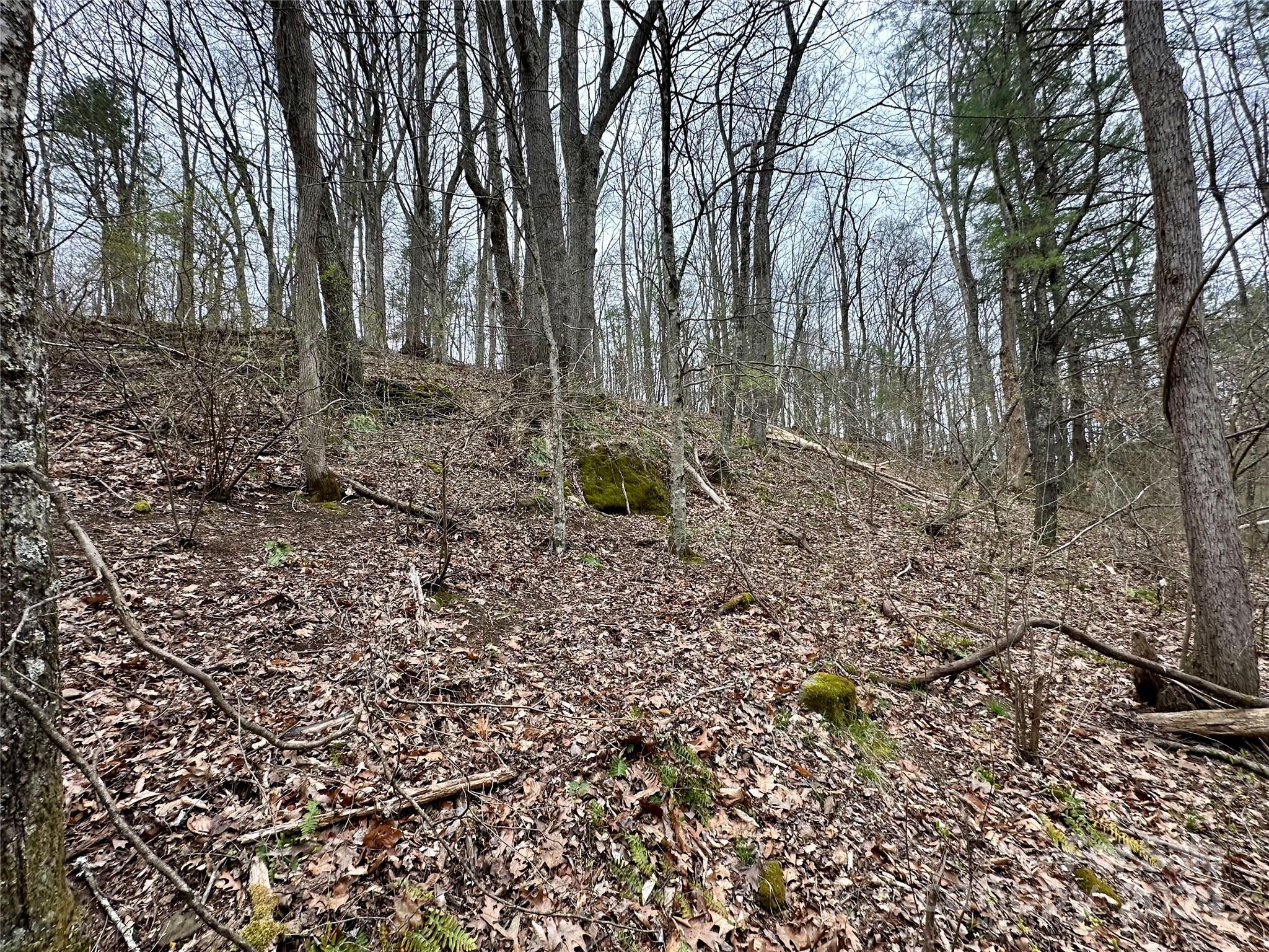 main property photo 26