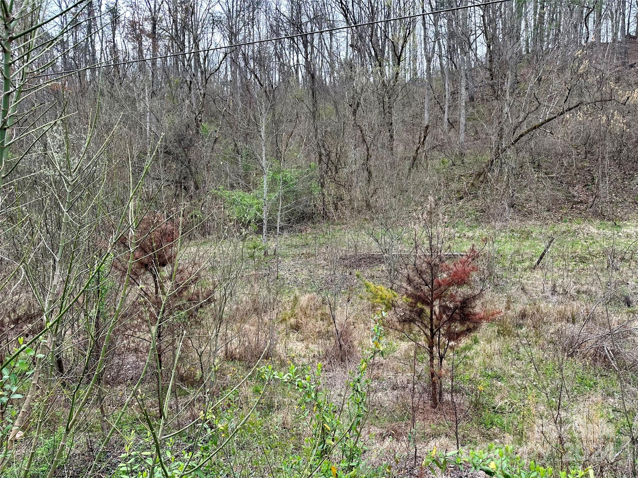 main property photo 31