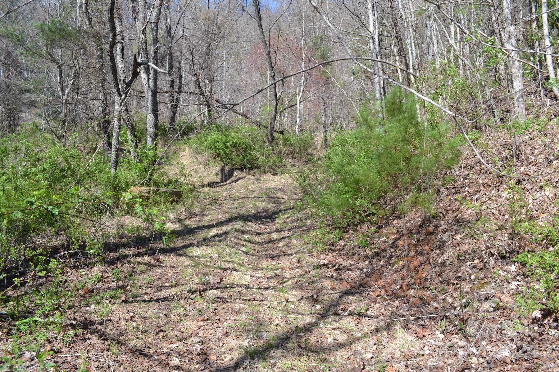 main property photo 7