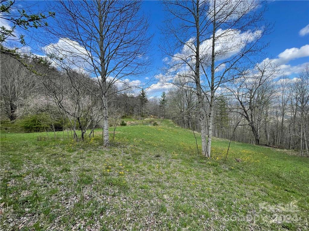 main property photo 43