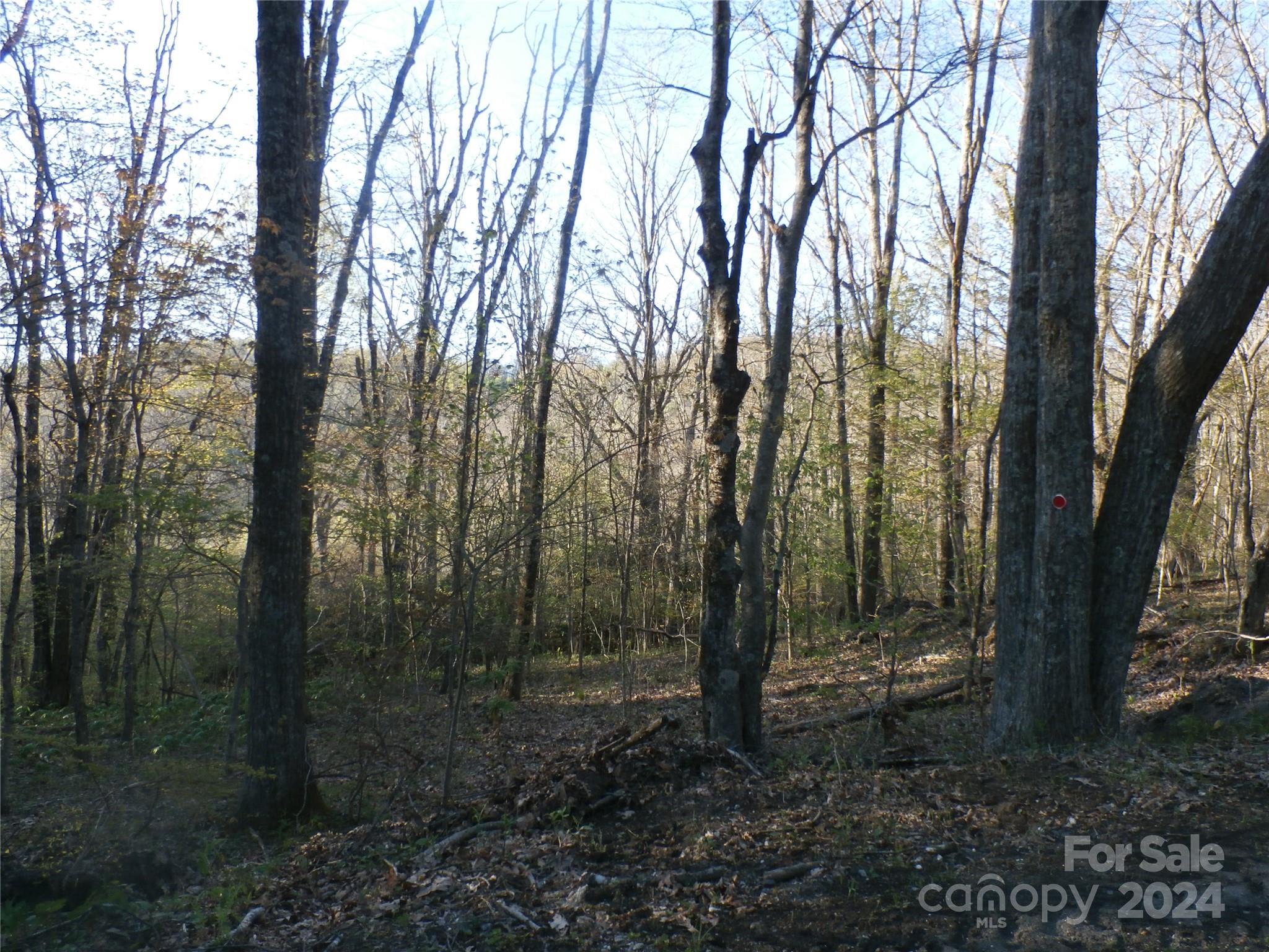 main property photo 31