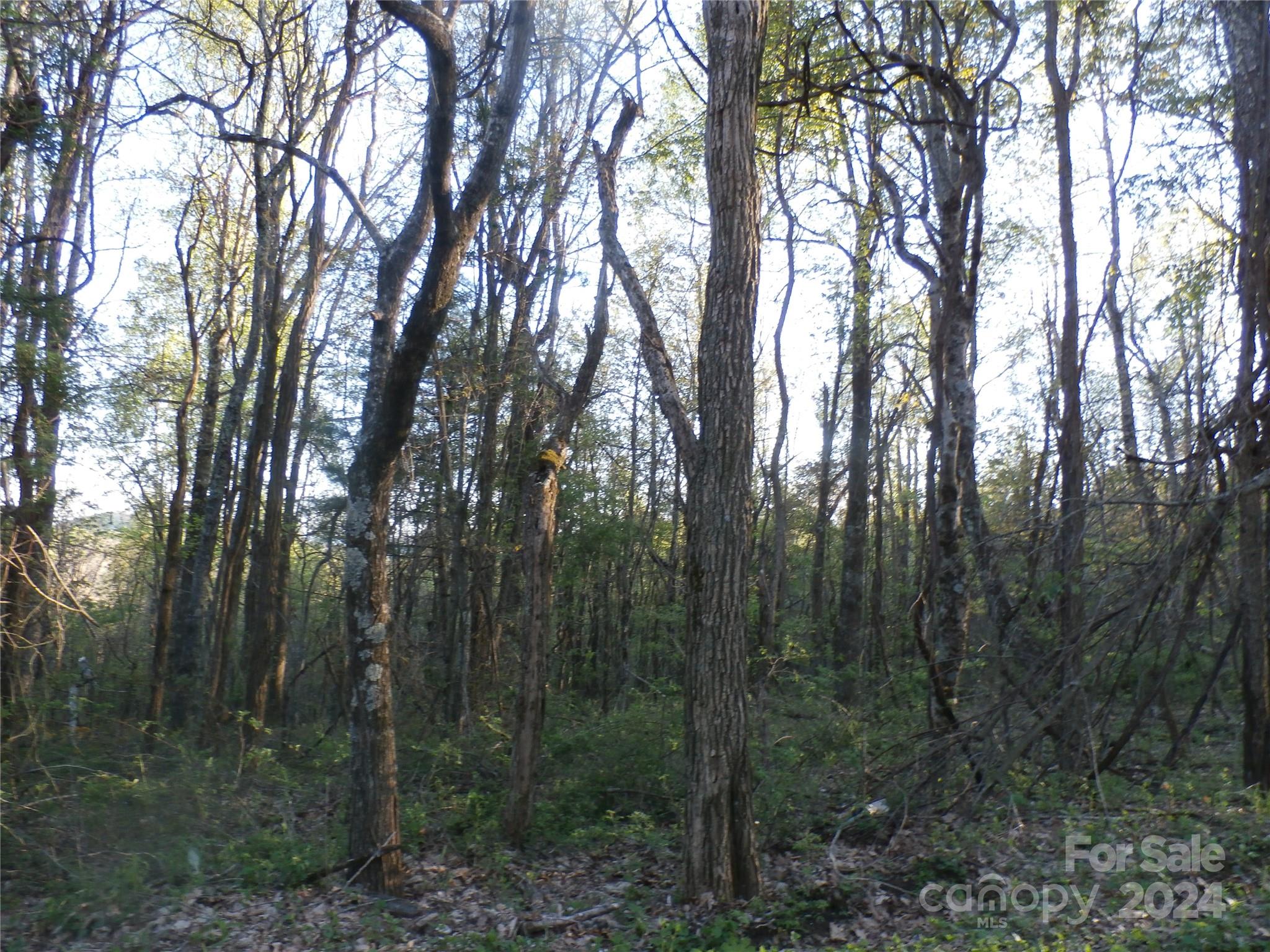 main property photo 34