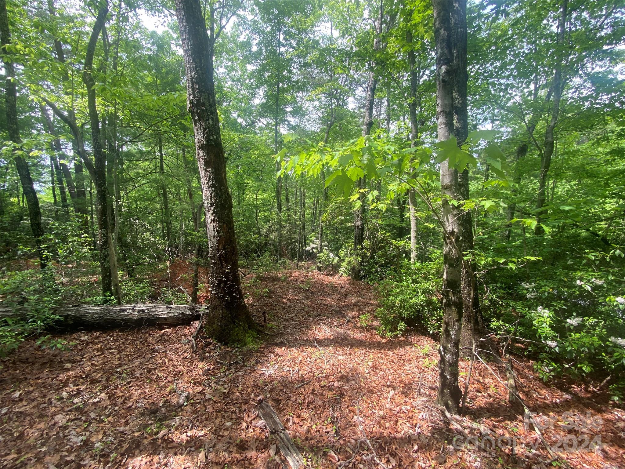 main property photo 9