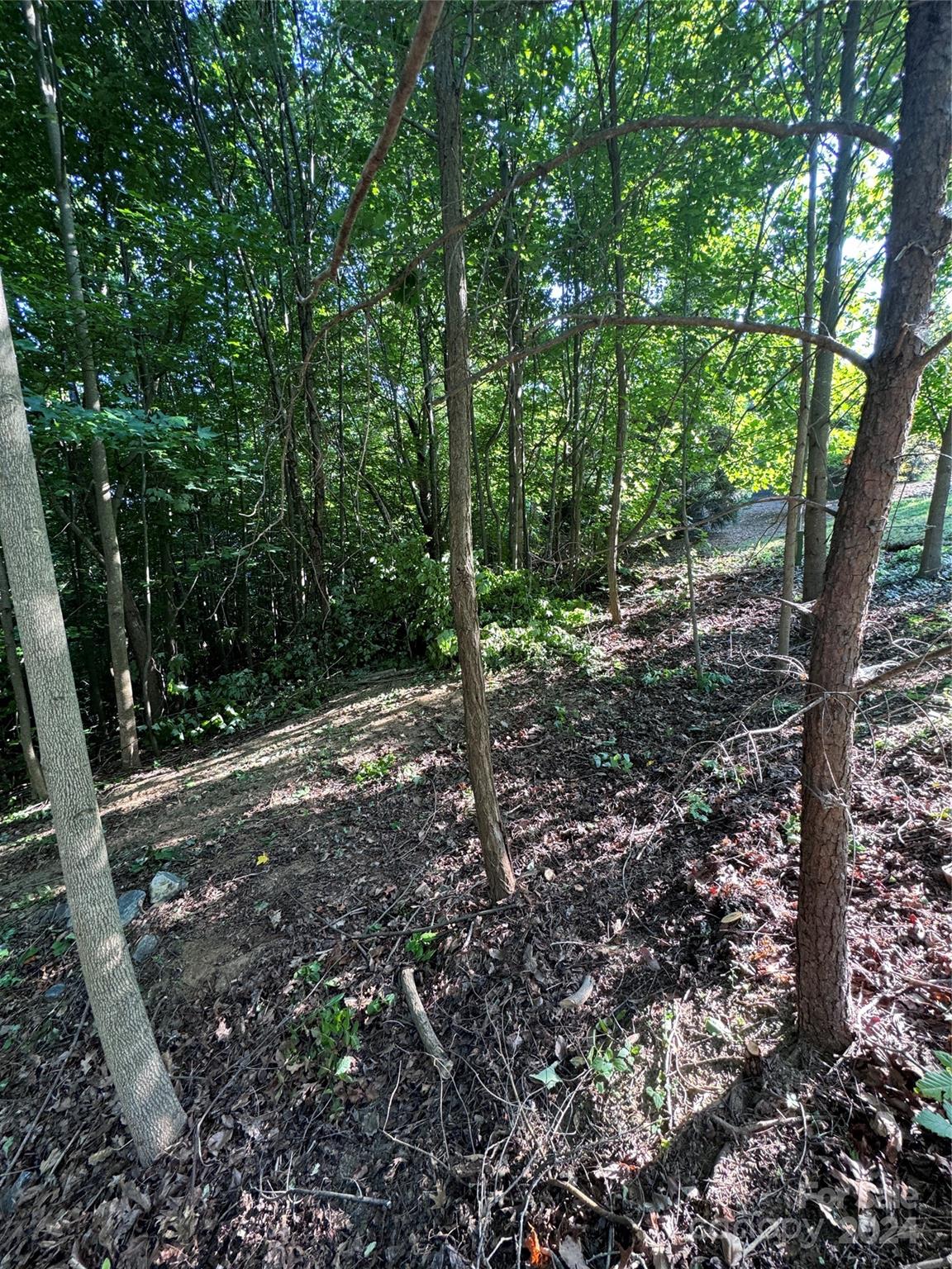 main property photo 27