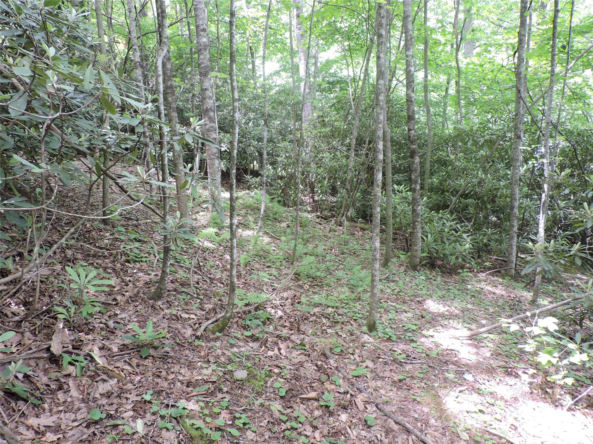main property photo 12