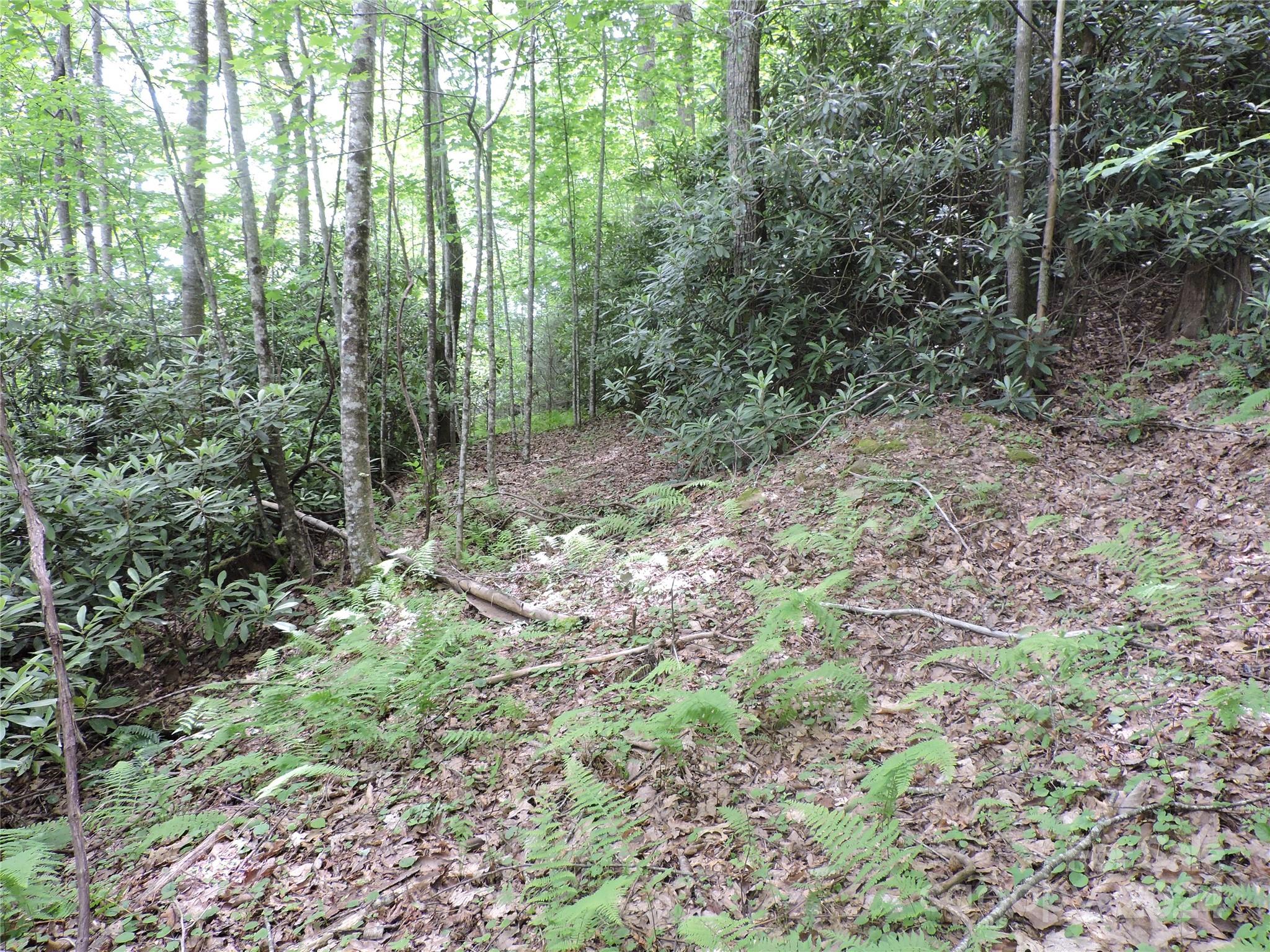 main property photo 7