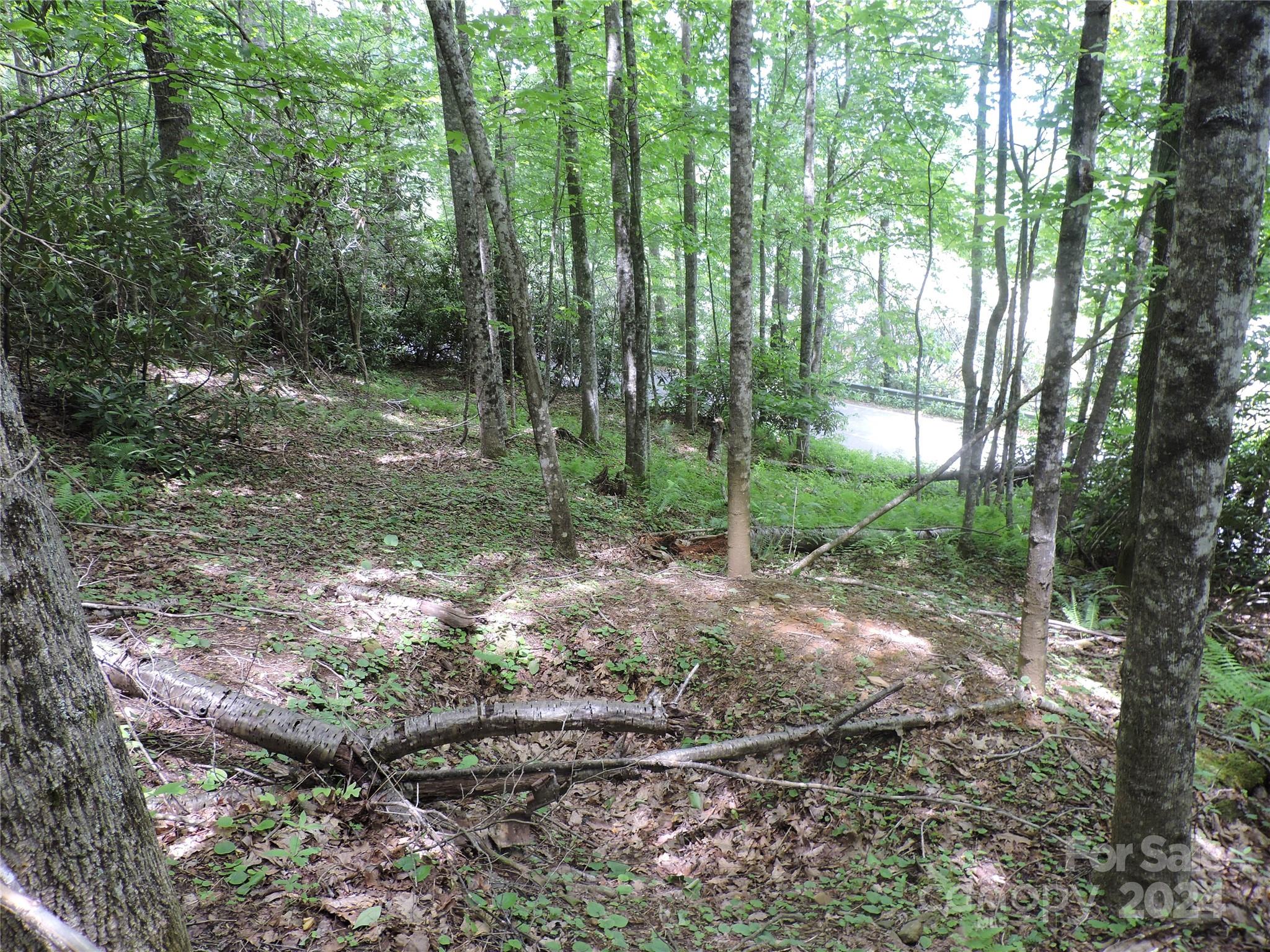main property photo 10