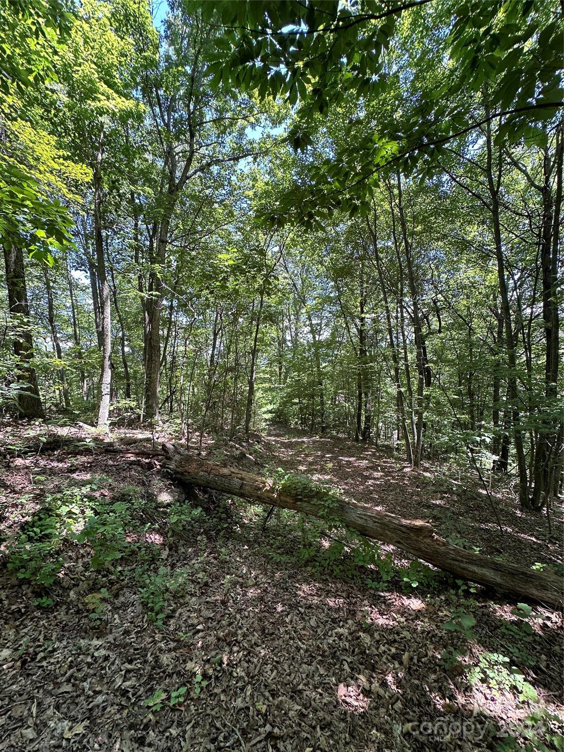 main property photo 42