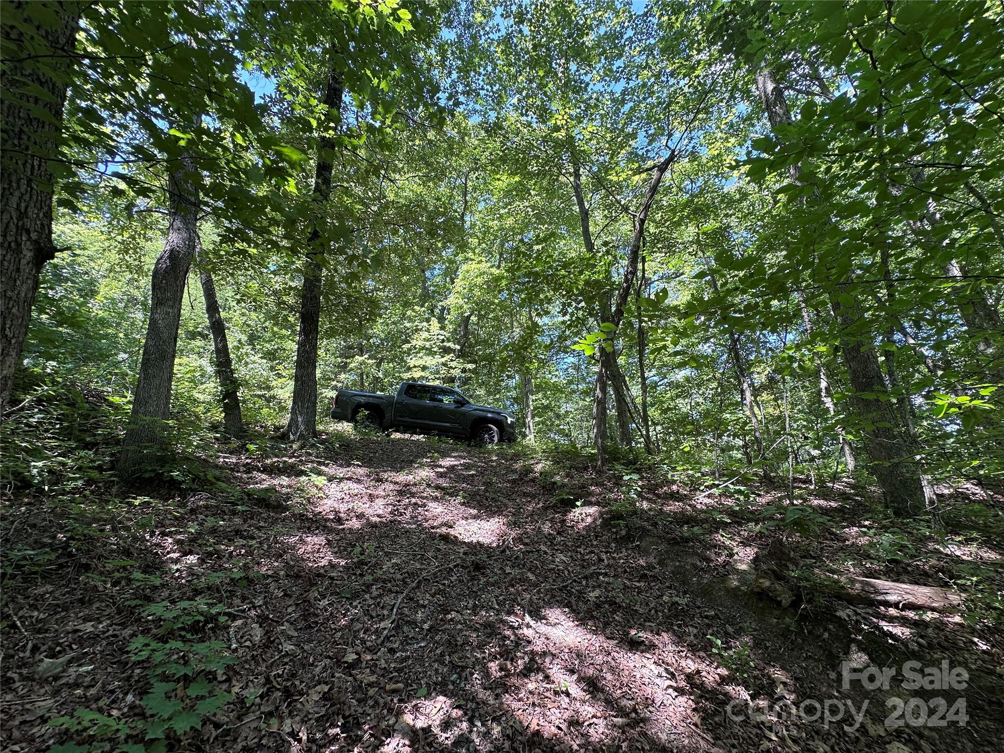 main property photo 43