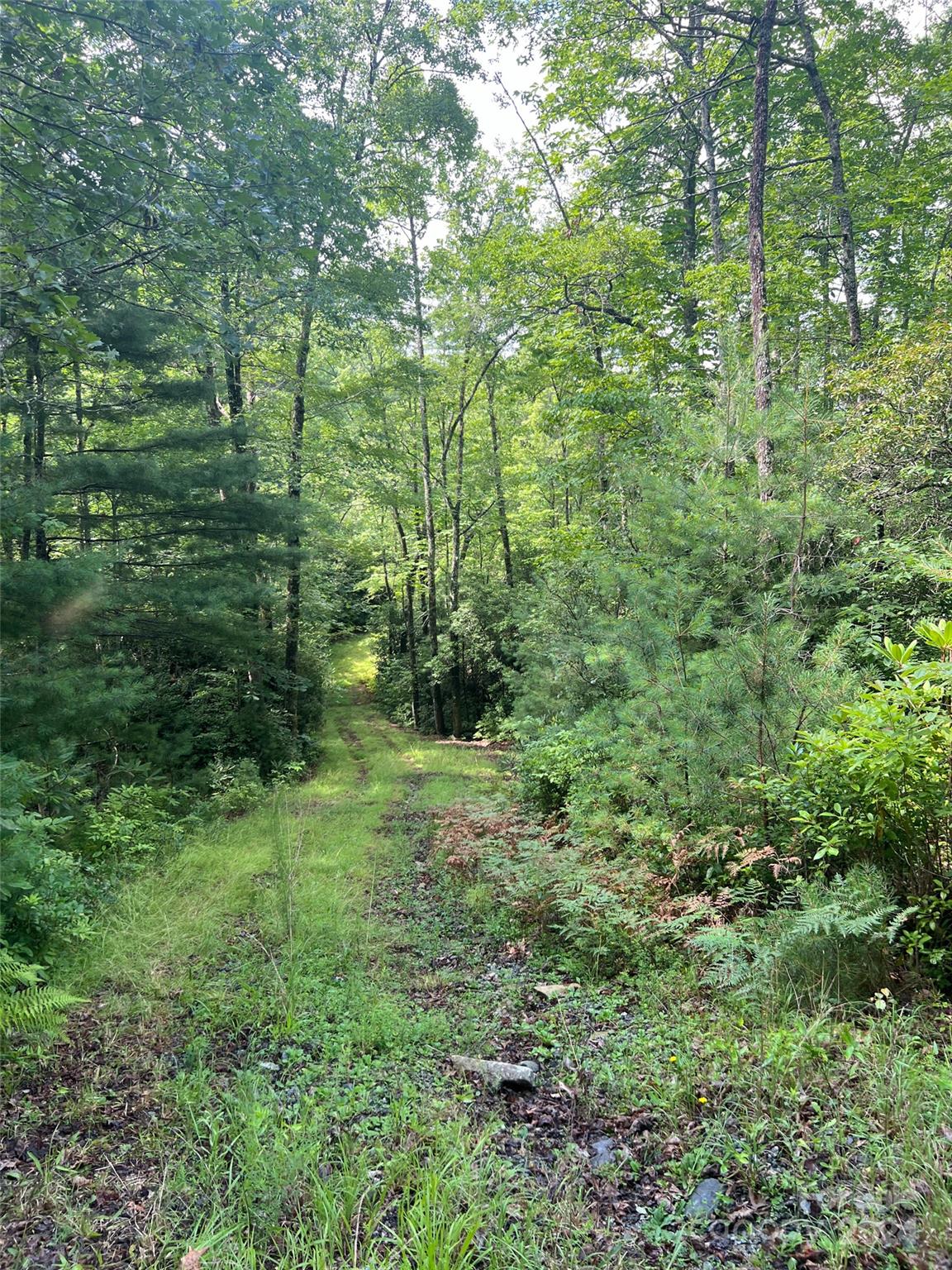 main property photo 18